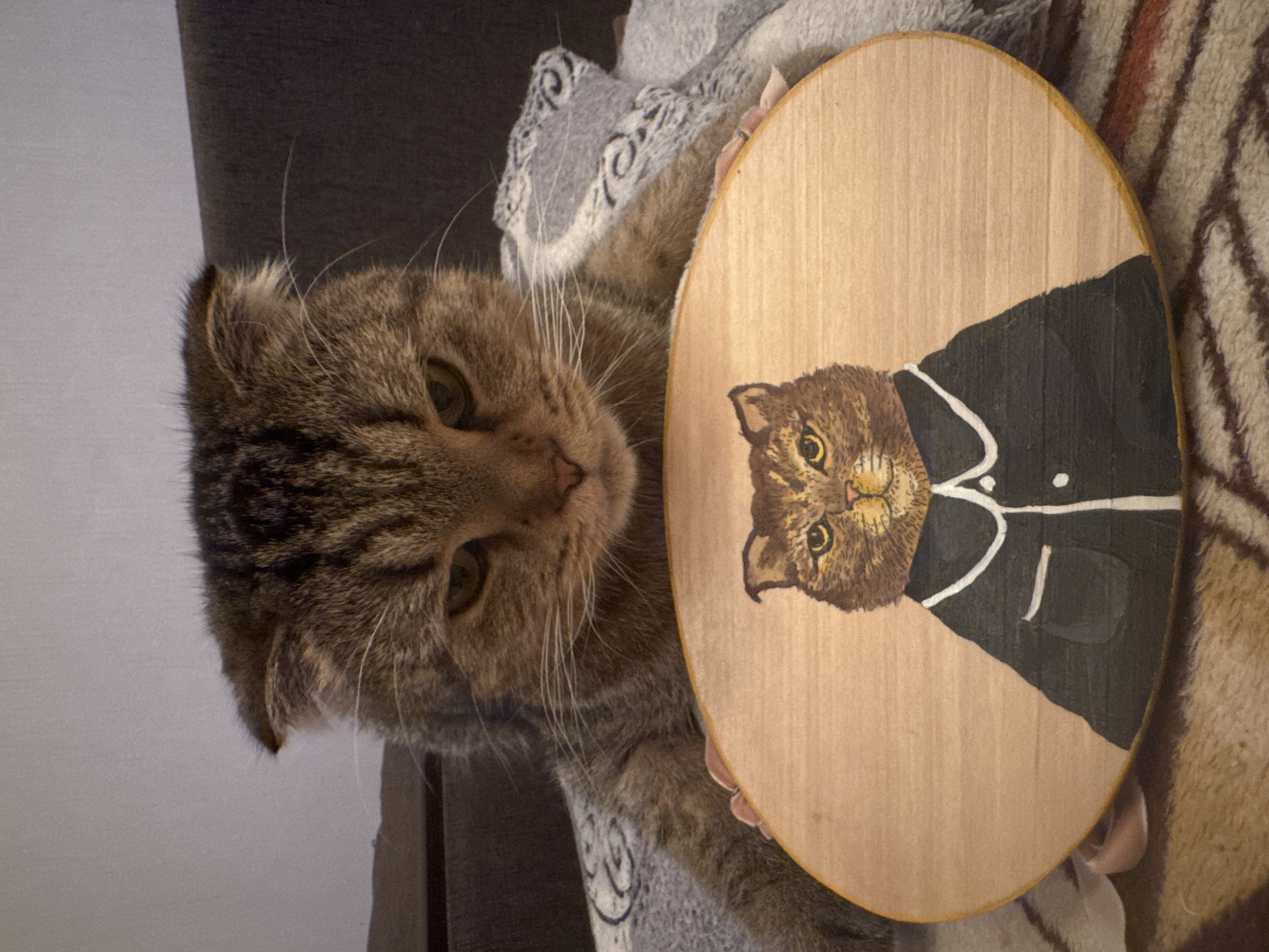 A brown tabby cat is holding a round wooden panel. The panel features a painted portrait of a similar-looking cat wearing a black suit with a white collar. The cat is looking directly at the viewer. The background appears to be a blanket or soft surface. The cat and the panel are situated inside a house or apartment, with the location being Chaikovsky, Russia.