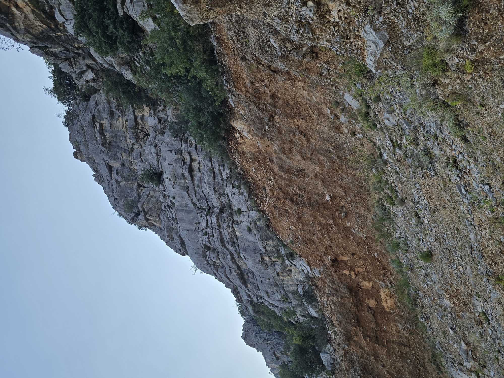 A rocky mountainside slopes upward towards a clear blue sky. The lower part of the slope is covered in loose, reddish-brown soil and rocks, with sparse green vegetation growing in patches. Higher up, the rock face is layered and appears to be composed of grey sedimentary rock. Patches of green trees and shrubs are visible clinging to the rock face, particularly in the upper sections. The scene depicts a natural, rugged environment.