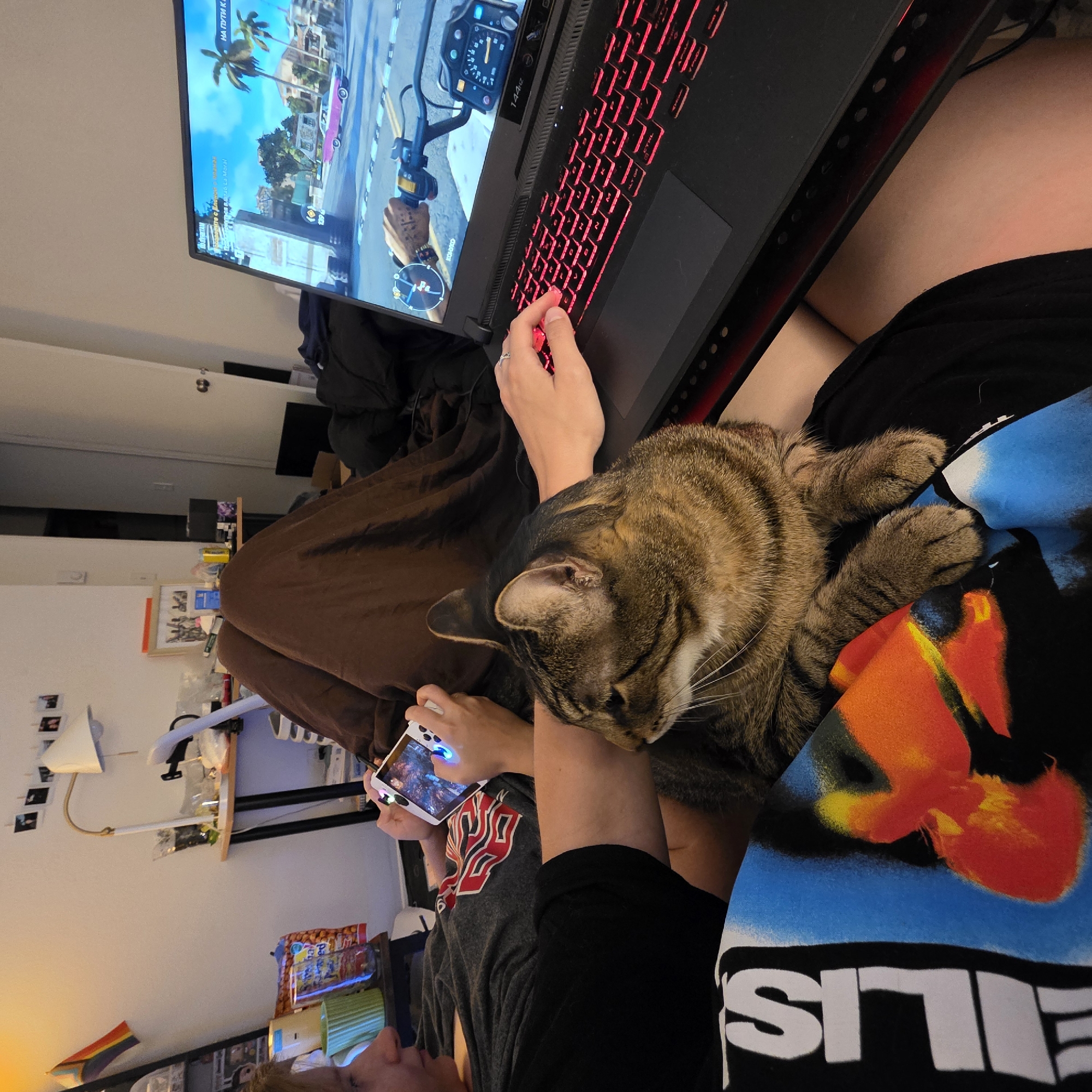 The image depicts an indoor scene, likely a bedroom or living area, at night. The main subject is a tabby cat resting on the lap of a person who is playing a video game on a laptop. The person is also holding a handheld gaming device. The laptop screen displays a game with a vibrant, tropical setting, featuring a pink car and palm trees. The laptop keyboard has red backlighting. In the background, there is a desk with various items, including a lamp and snacks. A rainbow flag is visible on the wall. The overall ambiance is relaxed and domestic. There is no indication of the city of Portland, United States of America.