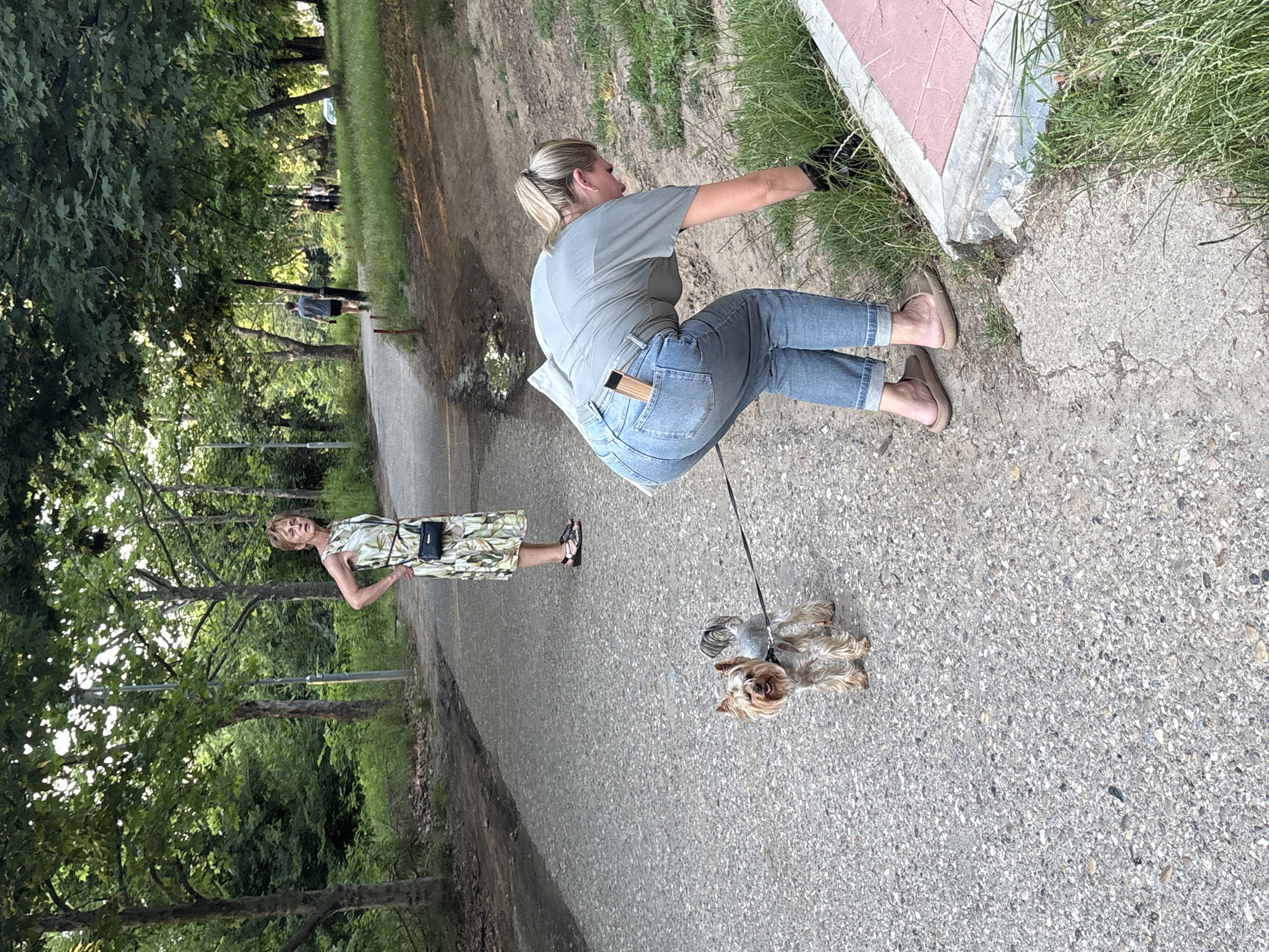 In this media file, two women and a dog are present in an outdoor setting. One woman, with blonde hair pulled back in a ponytail, is wearing a grey t-shirt and blue jeans. She is crouched down near a patch of grass and what appears to be a concrete border, and is wearing black gloves. A small Yorkshire terrier is attached to a leash held by this woman.
The second woman, with short blonde hair, is standing further down a paved path. She is wearing a light-colored dress with a tropical print and a dark clutch bag. Her attire suggests a casual or warm-weather occasion. The scene appears to be a park or a wooded area, with trees lining the path and dappled sunlight filtering through the leaves. The ground is a mix of asphalt and dirt. The overall impression is of a relaxed outdoor activity, possibly a walk in the park. The lighting suggests it is daytime.