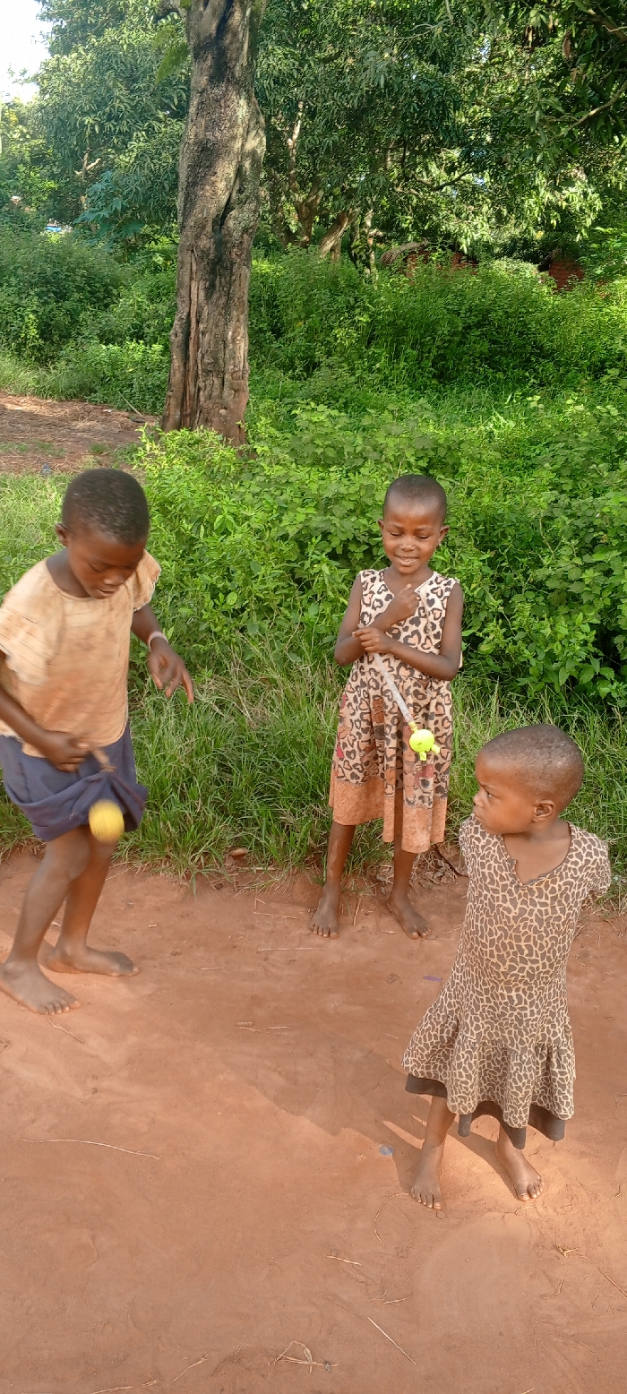 The image depicts three young, barefoot children playing on a reddish-brown dirt path in the city of Ngalula, Democratic Republic of the Congo. The immediate environment consists of the unpaved ground with scattered dry plant matter. Lush green foliage, including dense bushes and large trees, forms the background, obscuring hints of structures in the deeper recesses. Bright daylight illuminates the scene.
From left to right:
1. A child, wearing a light-colored short-sleeved shirt and dark shorts, is positioned with their body angled slightly right and head bowed, focused on a yellow spherical object in their right hand. This object appears to be attached to a string or stick, and the child is in the process of manipulating it near their left leg.
2. A second child stands to the right of the first, wearing a brown and black leopard-print sleeveless dress. This child holds a light-colored stick or rod with a yellow and green toy attached near the end. Their eyes are closed or squinting, and a slight smile is present, suggesting engagement with the toy or observation of the first child.
3. A third child, appearing younger, stands in the right foreground, also wearing a brown and black leopard-print sleeveless dress. This child's head is turned to the left, looking towards the other two children. Their arms are largely out of frame, positioned downwards.
The children are actively engaged in play, with two manipulating toys and the third observing.