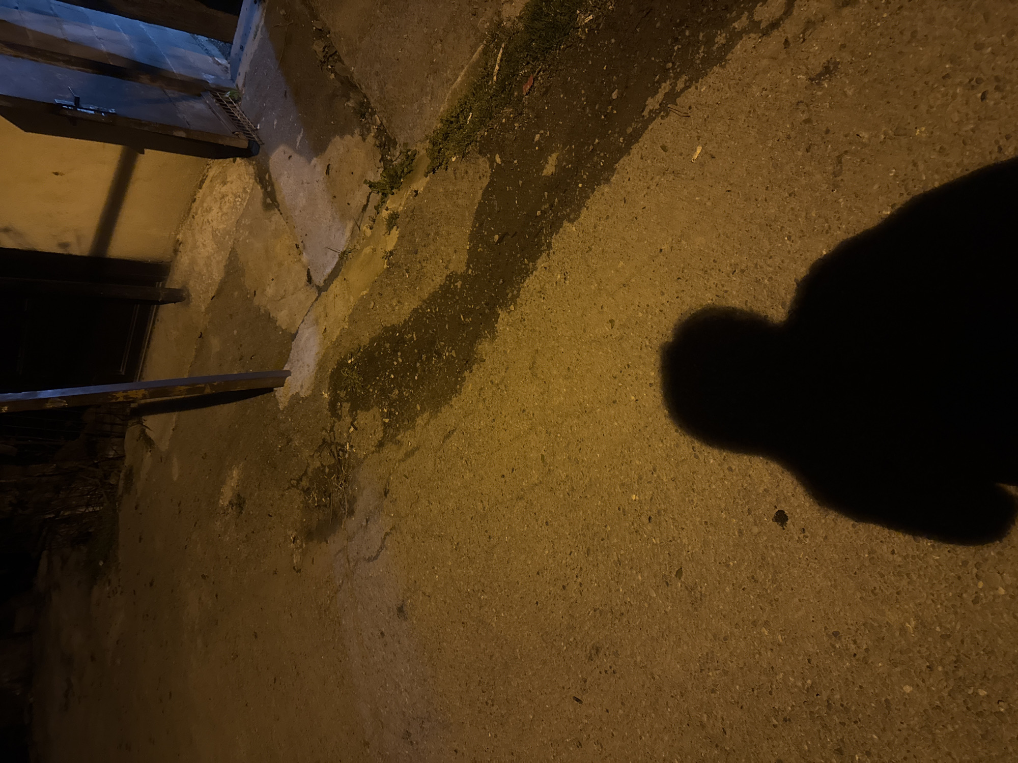 The image captures an outdoor scene at night in Tbilisi, Georgia, under artificial, warm yellow lighting. The ground, appearing to be textured concrete or asphalt, dominates the frame, showcasing scattered small stones and patches of dirt with sparse grass along its edges. Dark, wet-looking stains or patches are visible on the ground surface.
A large, distinct human shadow, likely belonging to the photographer or a person nearby, is cast prominently on the right side of the ground. On the left side of the composition, there are concrete structures, possibly a wall or the base of a building, and visible metal elements resembling railings or bars. Further into the left background, what appears to be a metal grate or drain is partially visible. One of the cropped images reveals a discarded cigarette butt on the ground.
The strong, elongated shadows and the artificial glow strongly indicate that the photo was taken at nighttime. No specific activity beyond the implied presence of a person casting the shadow is discernible. There is no visible text.