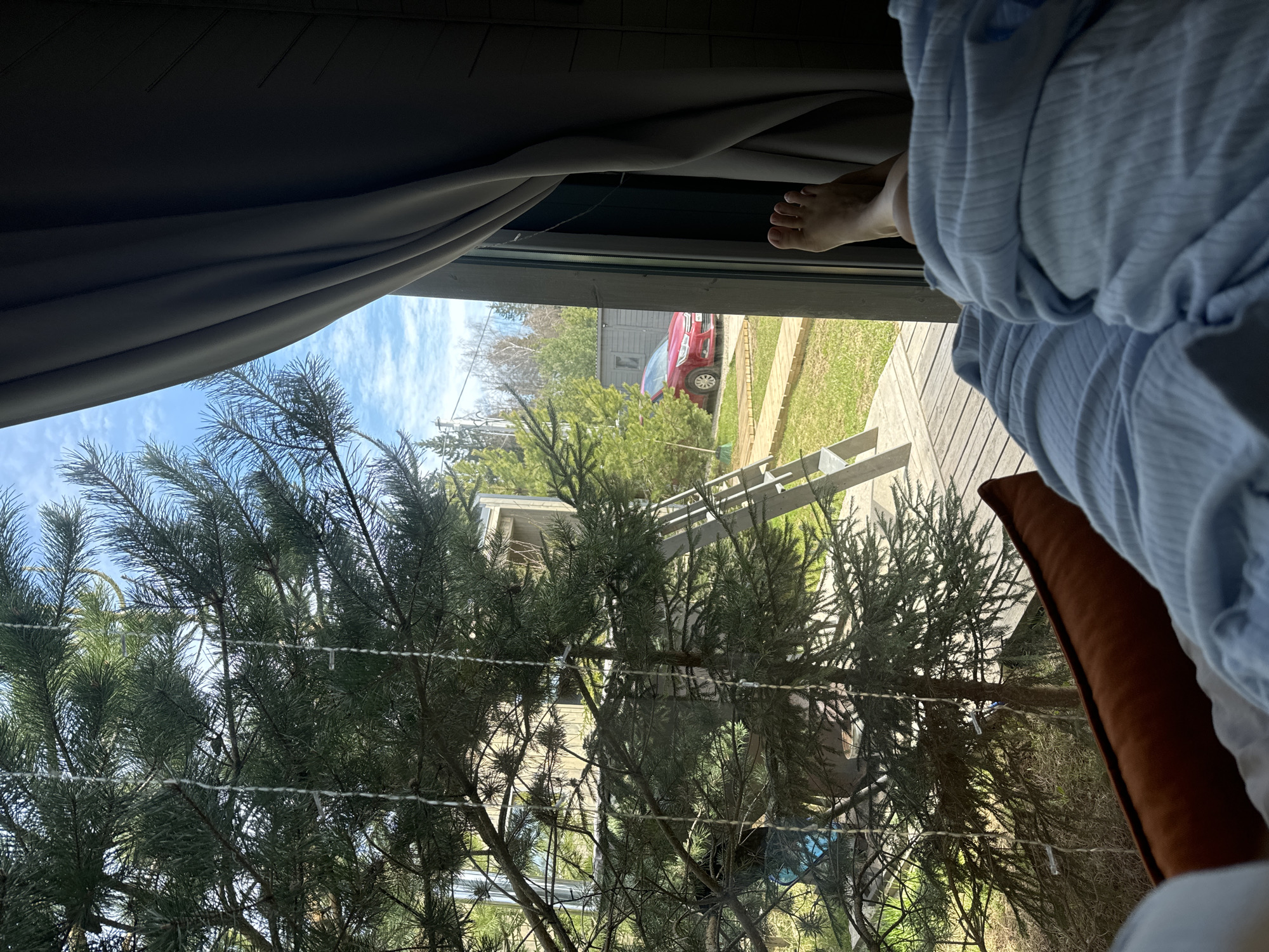 View from inside a residence, presumably a bedroom, looking outward through a window partially obscured by a gray curtain. A human foot is visible at the top of the window frame. A person wearing a blue garment rests on a pillow near the right edge of the frame. Outside, a pine tree is prominently displayed, partially blocking the view of a suburban landscape. A red car and a white or silver ladder are visible in the background. A light blue sky with scattered clouds is above the tree. The location is Литвиново, Russia.