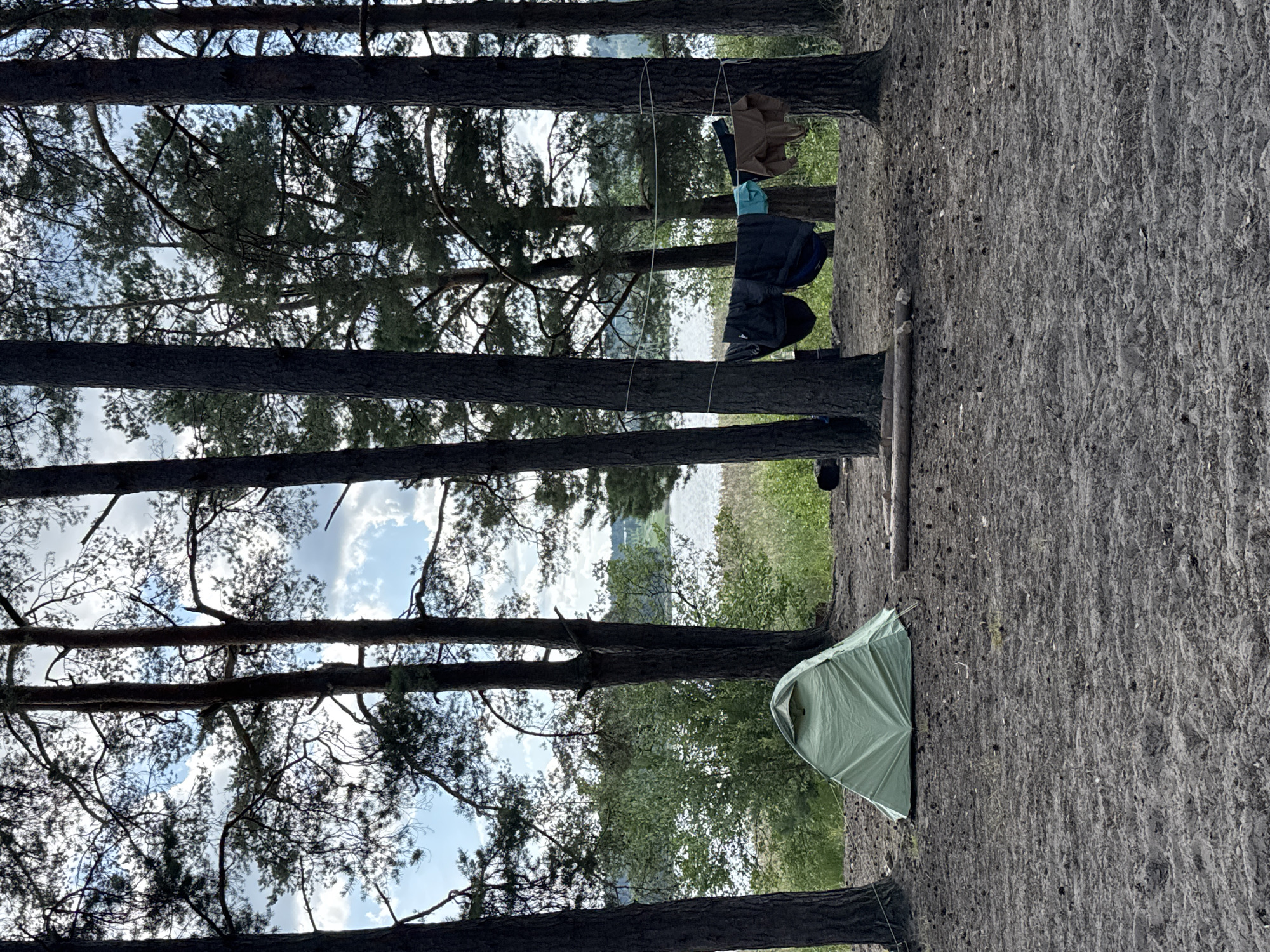 A campsite is set up on a sandy area surrounded by tall pine trees, with a lake and vegetation visible in the background. A green tent is pitched to the left of the frame, and a clothesline strung between two trees displays several items of laundry, including dark-colored pants and a lighter brown shirt. The ground is covered in sand with scattered pine needles and cones. The sky is partly cloudy. The location is Portovoe, Russia.