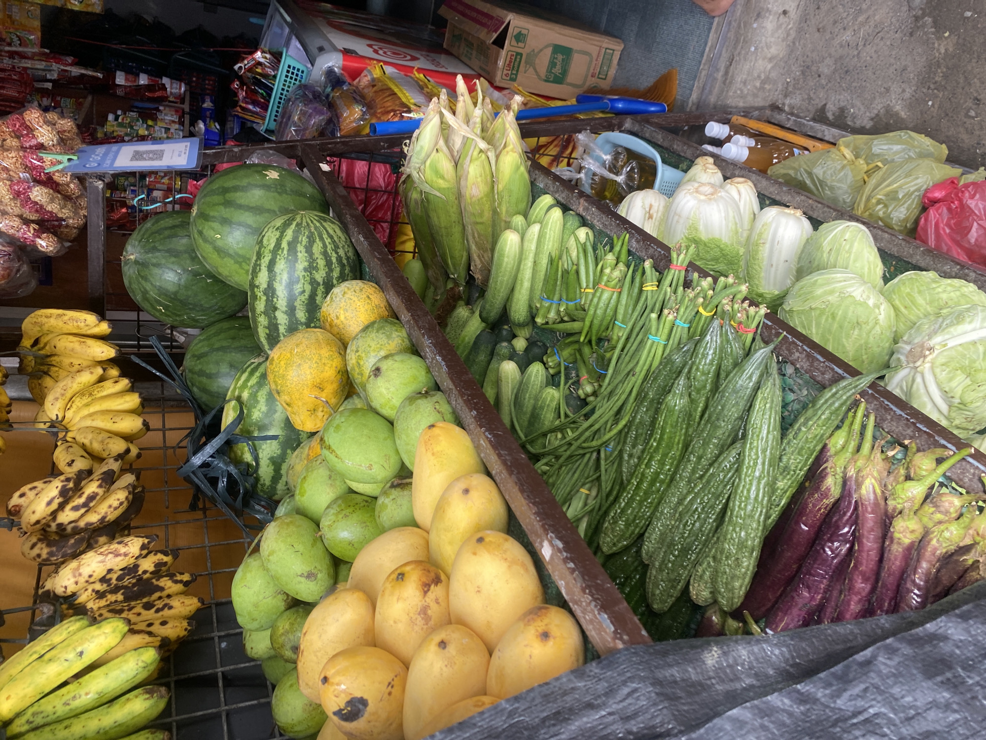 The image captures a vibrant and well-stocked produce stall, likely in a market setting in Davao City, Philippines. Various fresh fruits and vegetables are neatly displayed in wooden or metal crates and on shelves, presented for sale.
On the left side of the frame, several bunches of ripe bananas, some with distinct brown spots indicating ripeness, are arranged. Adjacent to them, large green watermelons are stacked, including both solid dark green and striped varieties. Below and to the right of the watermelons are abundant piles of green and yellow mangoes, alongside some smaller, roundish yellow fruits, possibly a type of melon or gourd.
The center and right portions of the image are filled with an assortment of fresh vegetables. Prominently featured are tall ears of corn, still partially encased in their green husks. Next to the corn, numerous green cucumbers are piled, followed by neatly bundled long green beans and okra, each tied with colorful rubber bands. Further right, elongated, ridged green bitter gourds (ampalaya) are displayed alongside slender, deep purple Filipino eggplants. Towards the top right, various types of cabbage are visible, including round green heads and lighter-colored Napa cabbage.
In the background, shelves stocked with various packaged goods, such as snacks and drinks, can be seen, hinting at a larger store or a well-equipped stall. A blue sign with a QR code, indicating a mobile payment option likely GCash given the Philippine context, hangs above the watermelons. Other elements like yellow and red plastic bags, and cardboard boxes are also visible in the background. The lighting suggests it is daytime, and the overall scene conveys a busy, commercially active market environment, though no people are directly visible.