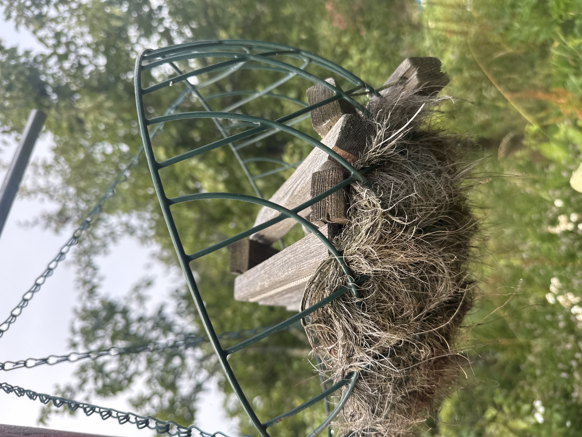 A close-up, low-angle shot depicts a hanging garden basket, its green metal frame partially obscured by coir lining. The basket is suspended by a chain, with blurred green foliage and an overcast sky forming the background. Several weathered wooden pieces are visible within the basket. The image does not depict the city of Tikeevo, Russia, nor does it contain any people or specific actions.