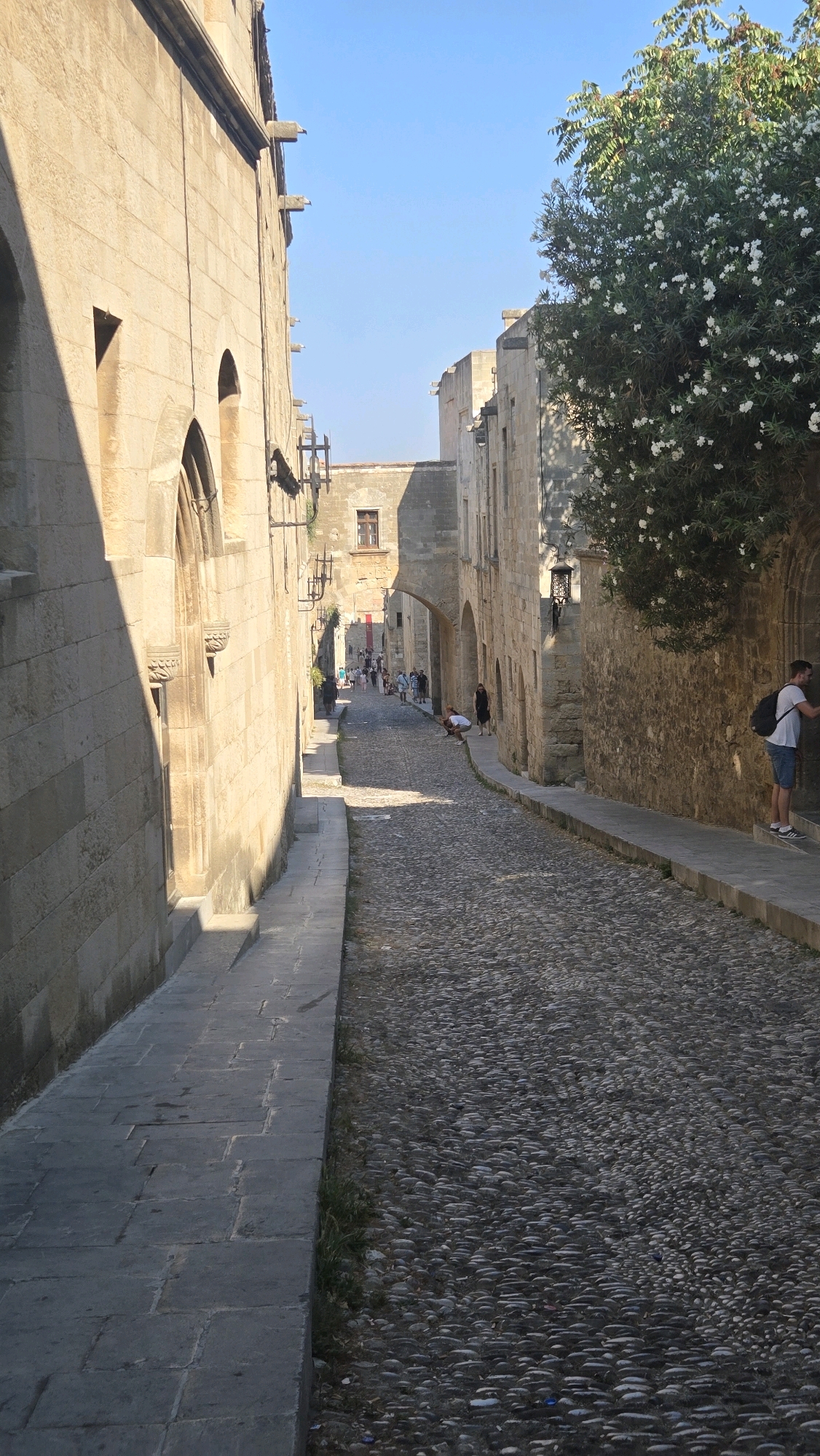 The image depicts a cobblestone street in the Medieval City of Rhodes, Greece, under a clear blue sky. The street is lined on both sides by ancient stone buildings, some with Gothic architectural elements such as arched windows and gargoyles. A large tree with white blossoms is visible on the right side of the street, casting dappled shadows. Several people are walking along the street and interacting with the environment. On the left, a person is leaning against a wall, and on the right, a man wearing a white t-shirt and blue shorts with a backpack is touching a stone wall. Further down the street, a few more individuals are visible, some walking, and one crouching. The scene conveys a sense of historical charm and pedestrian activity in an old European city.