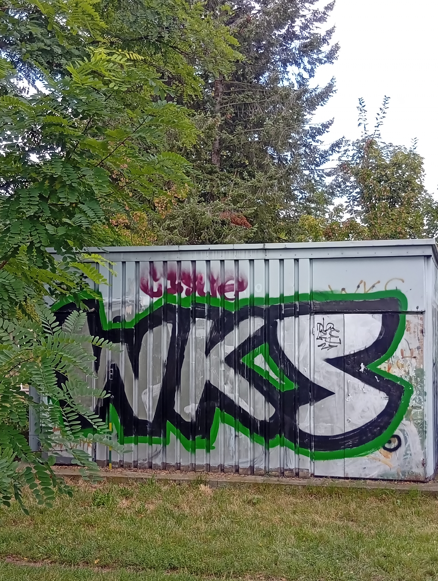 A corrugated metal shed, painted a neutral gray, is covered in graffiti. A large, black-outlined graffiti tag with green and purple accents dominates the central portion of the shed. To the left, lush green foliage from a tree partially obscures the shed, with a grassy area in the foreground. In the background, a dense canopy of trees, including evergreens, rises against a bright sky. This scene is located in Wrocław, Poland.