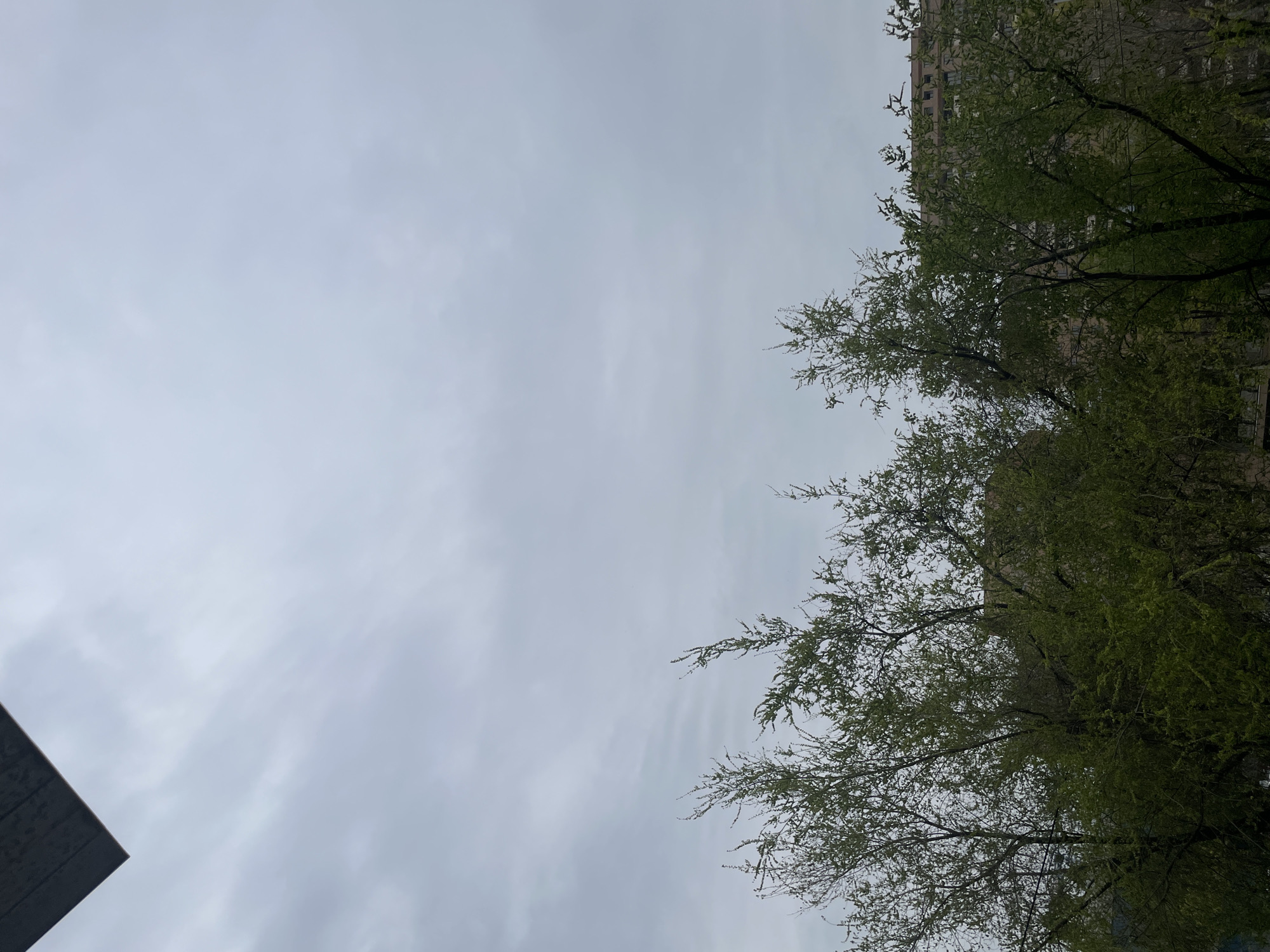 This media file captures an upward-looking view of an overcast sky framed by natural and urban elements. The primary subject is a vast, light grey, cloudy sky that dominates the upper and left-central portions of the frame. The clouds appear diffuse and uniform, indicating an overcast daytime.
On the right side of the image, a dense canopy of trees with vibrant green foliage, characteristic of spring or summer, occupies the mid-to-lower right. Some bare branches are also visible, intermingled with the new leaves. Partially obscured by these trees is a multi-story building, visible in the upper right. The building appears to be constructed from light brown or beige materials, featuring numerous windows, suggesting a residential or commercial structure.
In the bottom-left corner, a dark, angular architectural element is visible. This could be a part of another building's roofline or a modern structural detail, adding to the urban context.
There is no specific activity or event taking place; the image presents a static scene. The weather is clearly cloudy, diffusing the light uniformly, making it difficult to ascertain the exact time of day beyond it being daylight. Based on the provided context, the scene is located in Yerevan, Armenia. There is no visible text in the image. The overall impression is one of a quiet, somewhat muted urban landscape under a cloudy sky.