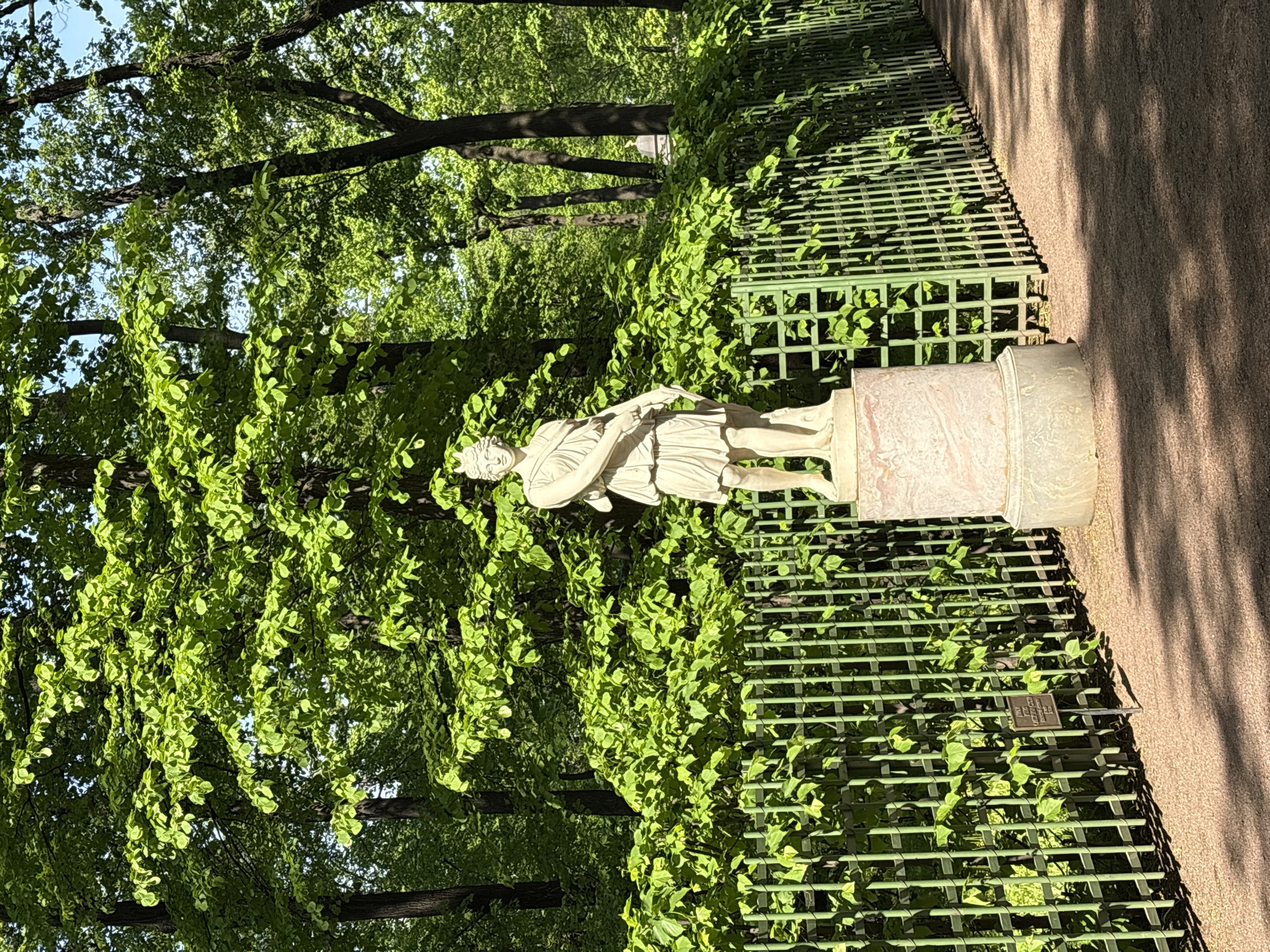 The image shows a statue in a garden in Saint Petersburg, Russia. The statue is of a man wearing a toga, standing on a marble pedestal. The pedestal is located beside a green metal fence with climbing green plants. Behind the fence are trees, visible with green foliage. To the right of the fence is a sandy walking path.