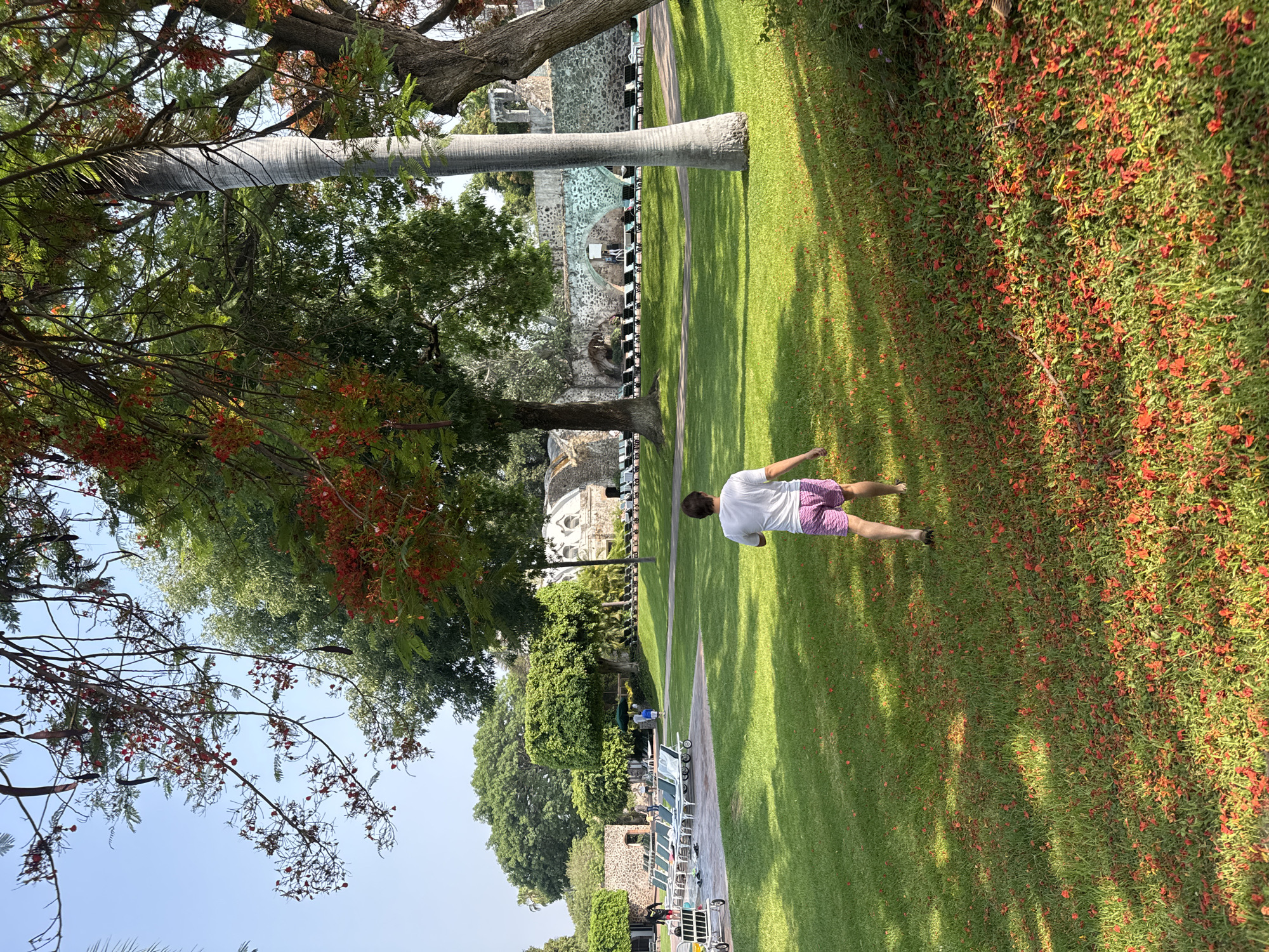 The image shows a person walking on a grassy lawn. The person is wearing a white shirt and pink shorts. The lawn is covered with red flowers. In the background, there is a stone structure and a row of white lounge chairs. Trees with red flowers are visible on the sides of the image. The location is Cocoyoc, Mexico.