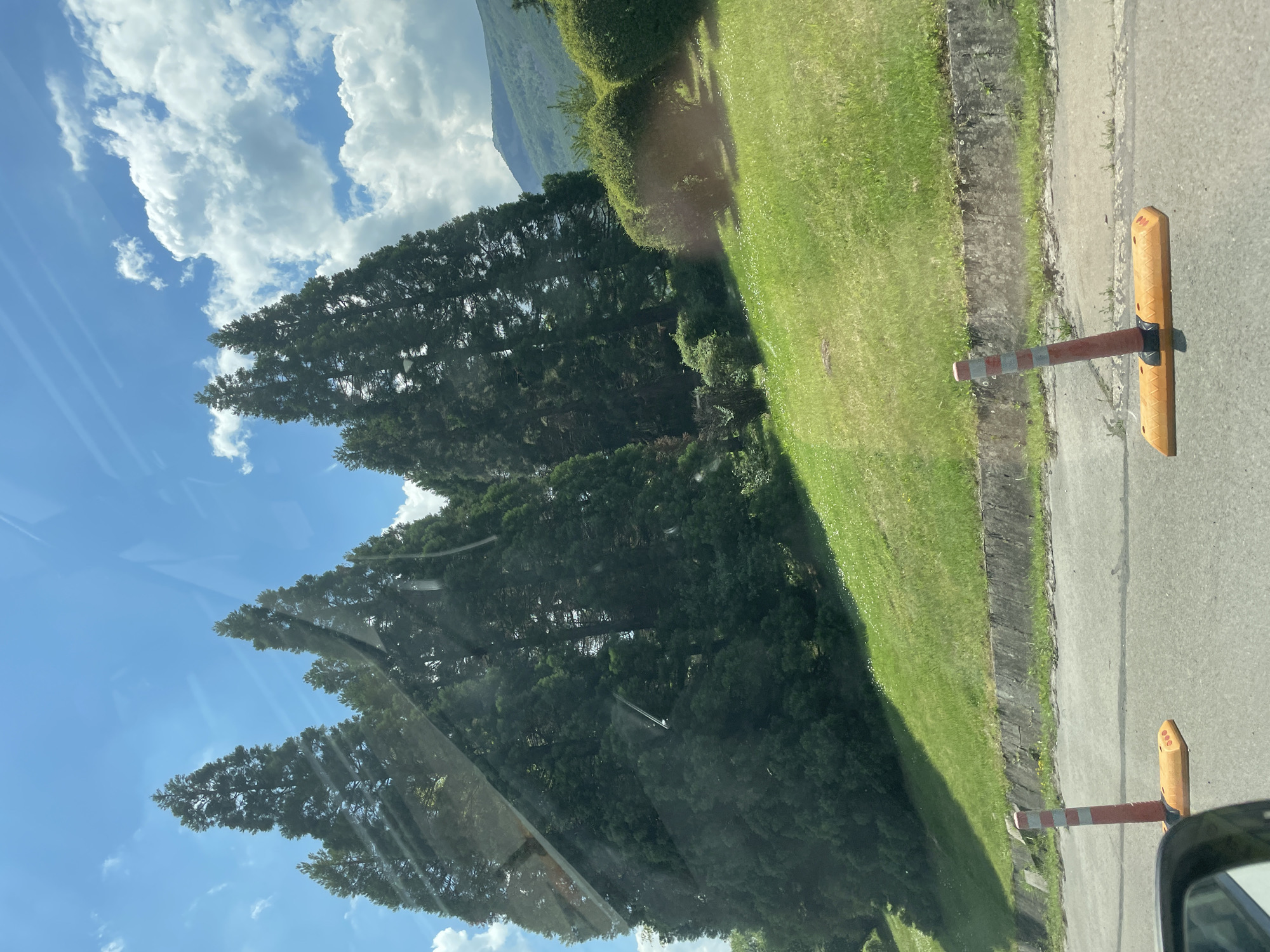 This is a medium shot, taken from inside a vehicle, looking out at a landscape on a sunny day. Tall, dark green coniferous trees dominate the left and center of the frame, with a lush green hillside behind them. The hillside is dotted with small white flowers and is bordered by a concrete retaining wall. In the foreground, on the asphalt road, are two orange traffic cones with white reflective stripes. The sky is a bright blue with fluffy white clouds. A distant mountain range is visible in the background on the right. Reflections of the sky and clouds are visible on the window. The image is most likely from the Boyana district of Sofia, Bulgaria, given the characteristic vegetation and hilly terrain.