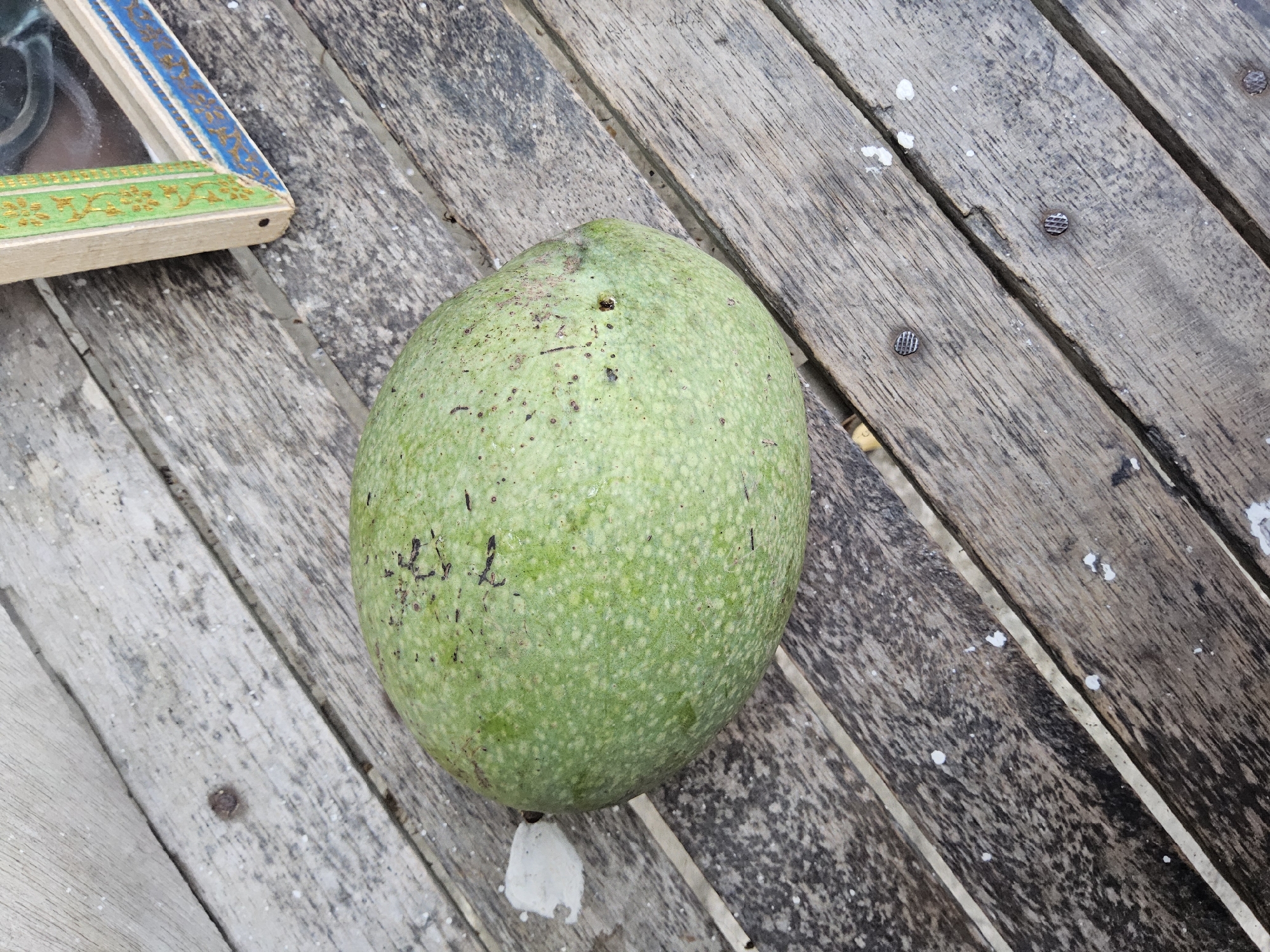 The image shows a close-up, high-angle shot of a green, oval-shaped fruit resting on a weathered wooden surface. The fruit has a slightly textured skin with small, light-colored speckles and a few dark marks. The wooden surface is composed of planks with visible grain, some cracks, and scattered white debris. A small, white, irregular object is also present near the left side of the fruit. In the upper right corner, a portion of a decorative frame with green and blue patterns is visible. The scene is outdoors, with natural lighting. The exact location in Payagaboh, Indonesia, is not discernible from the image itself. No people, actions, or interactions are depicted.