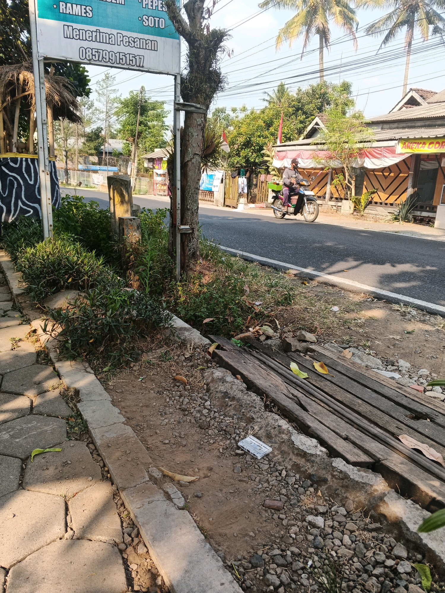 The image depicts a street scene in Ungaran, Indonesia. In the foreground, a paved sidewalk made of hexagonal concrete pavers runs along the left side of the image. Adjacent to the sidewalk is a narrow, unpaved area with gravel and sparse vegetation. A concrete curb separates the sidewalk from this unpaved area, and in places, the curb has deteriorated. Further to the right, a channel appears to be lined with weathered wooden planks.
In the background, a paved road is visible, with a white line marking the edge. A person is riding a motorcycle along this road, heading away from the viewer. The motorcycle has a green container attached to the back. On the right side of the road, there are buildings with corrugated metal roofs and decorative fabric awnings. Palm trees and other lush green foliage are scattered throughout the scene.
A signpost stands on the left, featuring text in Indonesian, including menu items like "RAMES" and "SOTO," and a phone number "085799151517." A tree with a rough, textured trunk is situated near the signpost and the curb. The overall atmosphere suggests a sunny day.