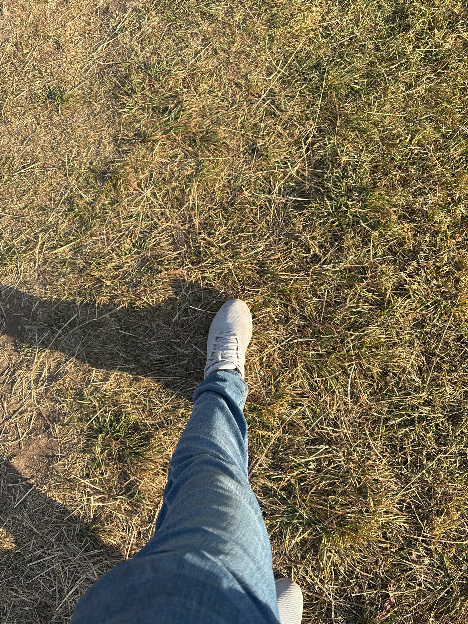 A single person's left leg, clad in blue denim jeans and a grey sneaker, is shown from a high-angle perspective. The individual is walking across dry, patchy grass, casting a long shadow to the left. The environment appears to be an outdoor, natural setting, possibly a field or park in Chunkurchak, Kyrgyzstan, with the ground covered in predominantly dry vegetation and some sparse green grass. The lighting suggests it is daytime, with the sun casting strong shadows.