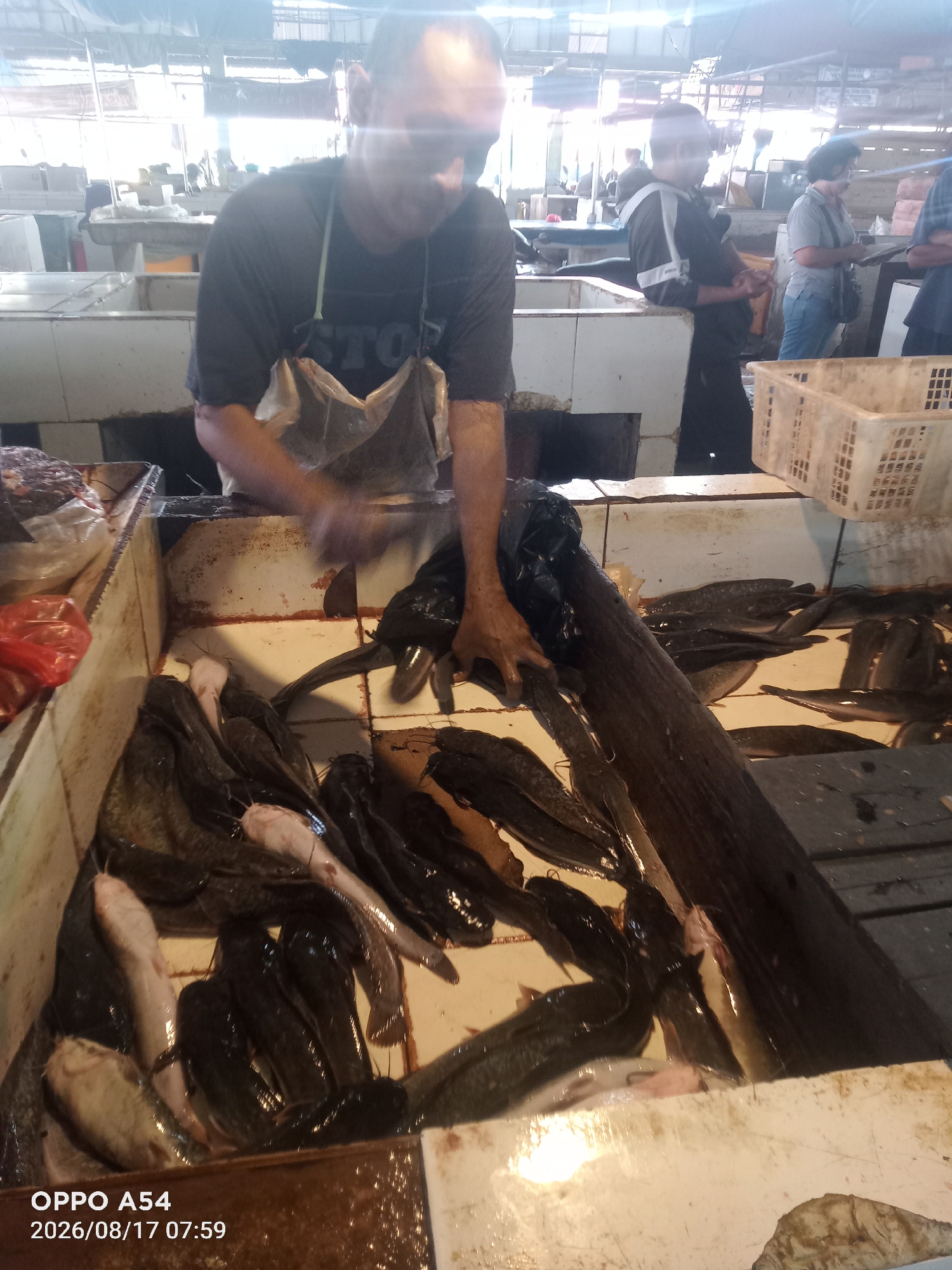 In Jambi, Indonesia, a fish stall at a market is depicted. A man wearing a dark t-shirt and an apron is visible, leaning over a display of fresh catfish. The catfish are primarily dark-colored, with some lighter-skinned individuals mixed in. They are arranged in a shallow, tiled basin. In the background, other market stalls and individuals can be seen, suggesting a bustling commercial environment. The overall scene captures a common marketplace transaction involving fresh seafood.