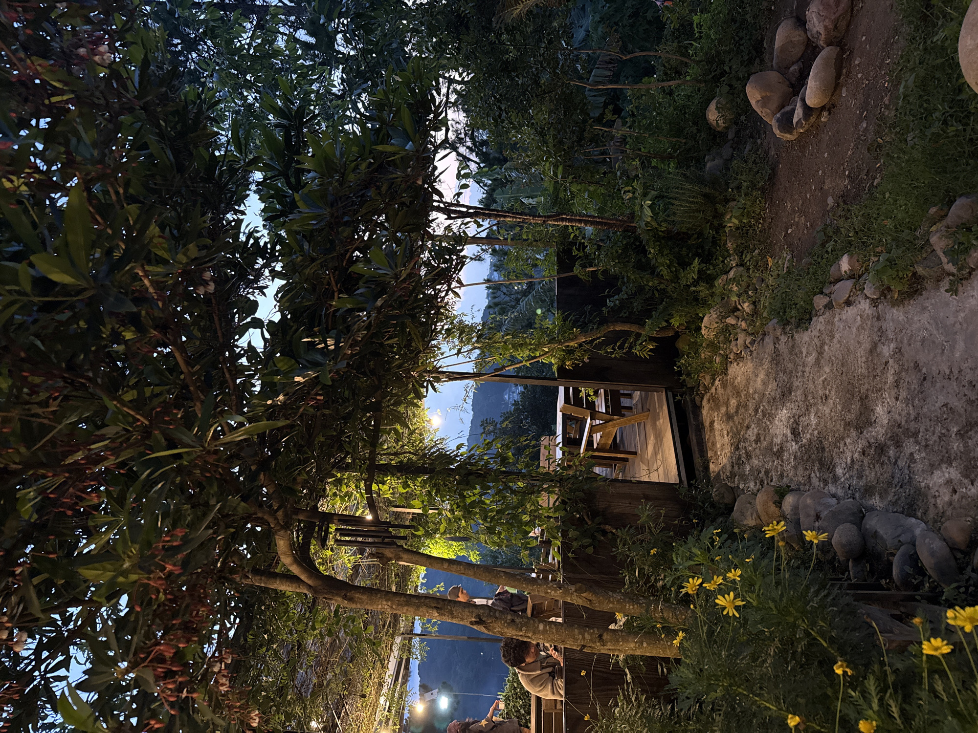 This image captures an outdoor or semi-outdoor establishment, likely a cafe or restaurant, set amidst lush natural vegetation during twilight or early evening in Phường Xuân Hương - Đà Lạt, Vietnam.
Overhead, a dense canopy of dark green leaves and branches with reddish elongated flower buds or fruits partially obscures a faint blue-pink sky. Below this, a wooden trellis system is covered with green vines, from which warm artificial string lights are suspended, illuminating a seating area.
In the left midground, within the illuminated seating area, two individuals are visible. One person, with curly dark hair and wearing a light brown jacket, is seated at a wooden table, looking downwards. A second person, partially obscured by a tree trunk, appears to be standing or moving towards the right, wearing a cap and carrying a backpack. Wooden tables and bench-style seating are present. A dark, multi-tube wind chime hangs from an overhead beam near a tree trunk.
A narrow, unpaved path, appearing to be compacted earth or gravel, winds from the foreground towards a short wooden walkway that leads into the main seating area. The path is bordered on the left by a neat row of smooth, grey river stones and a dense bush of bright yellow, daisy-like flowers.
The right side of the image features abundant green foliage, including larger trees and undergrowth, creating a natural border. In the far background, the faint silhouettes of distant hills or mountains are visible against the twilight sky. Scattered large, smooth rocks are present on the ground in the right foreground, some arranged loosely in a circular pattern.
