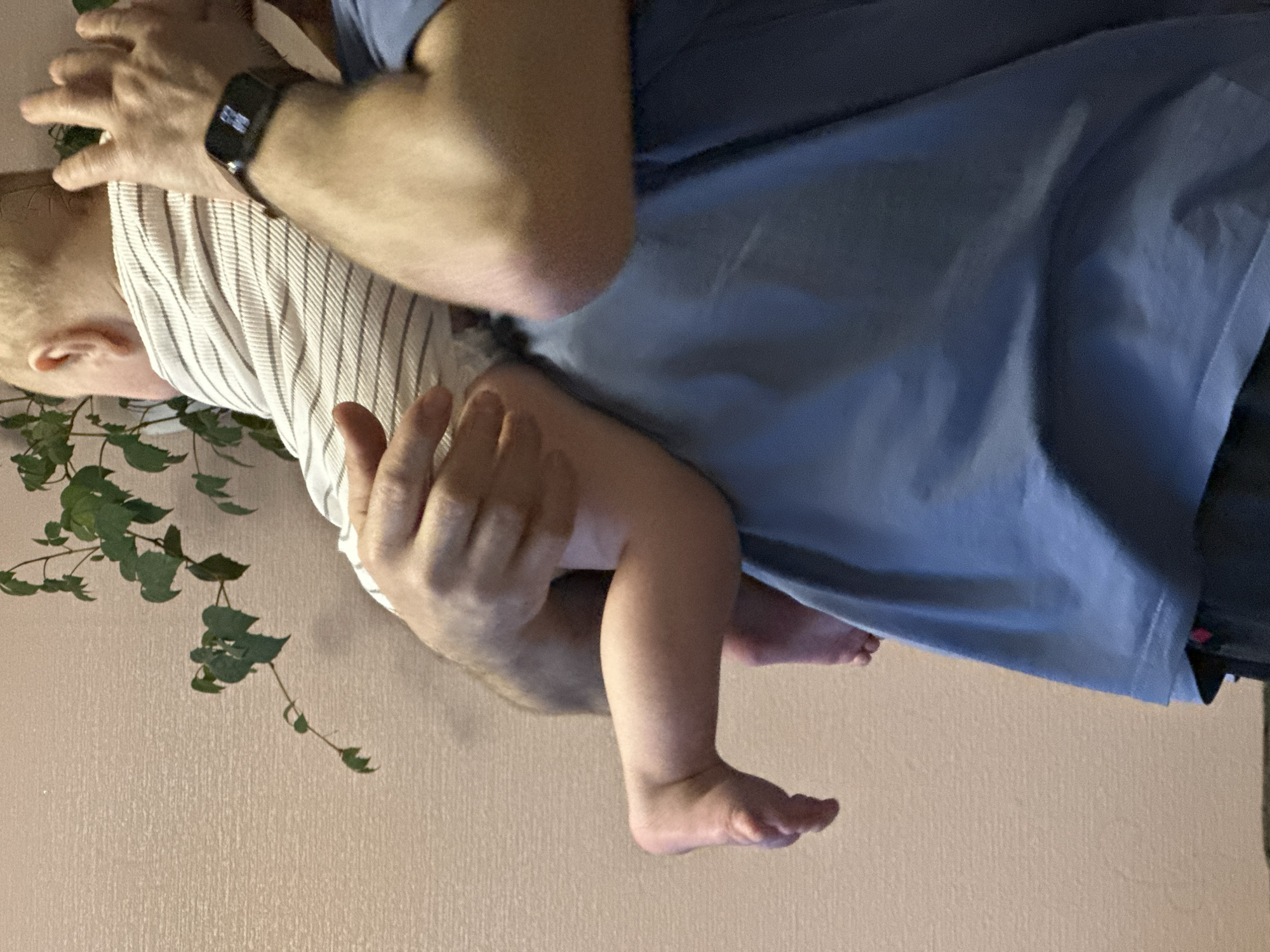 A person wearing a blue t-shirt is holding a baby. The baby is wearing a white and gray striped shirt. The person is wearing a black smartwatch on their left wrist. There is a plant with green leaves in the background. The wall is pale pink. It is not possible to confirm the location of the image as Chaikovsky, Russia, based on the visual information.