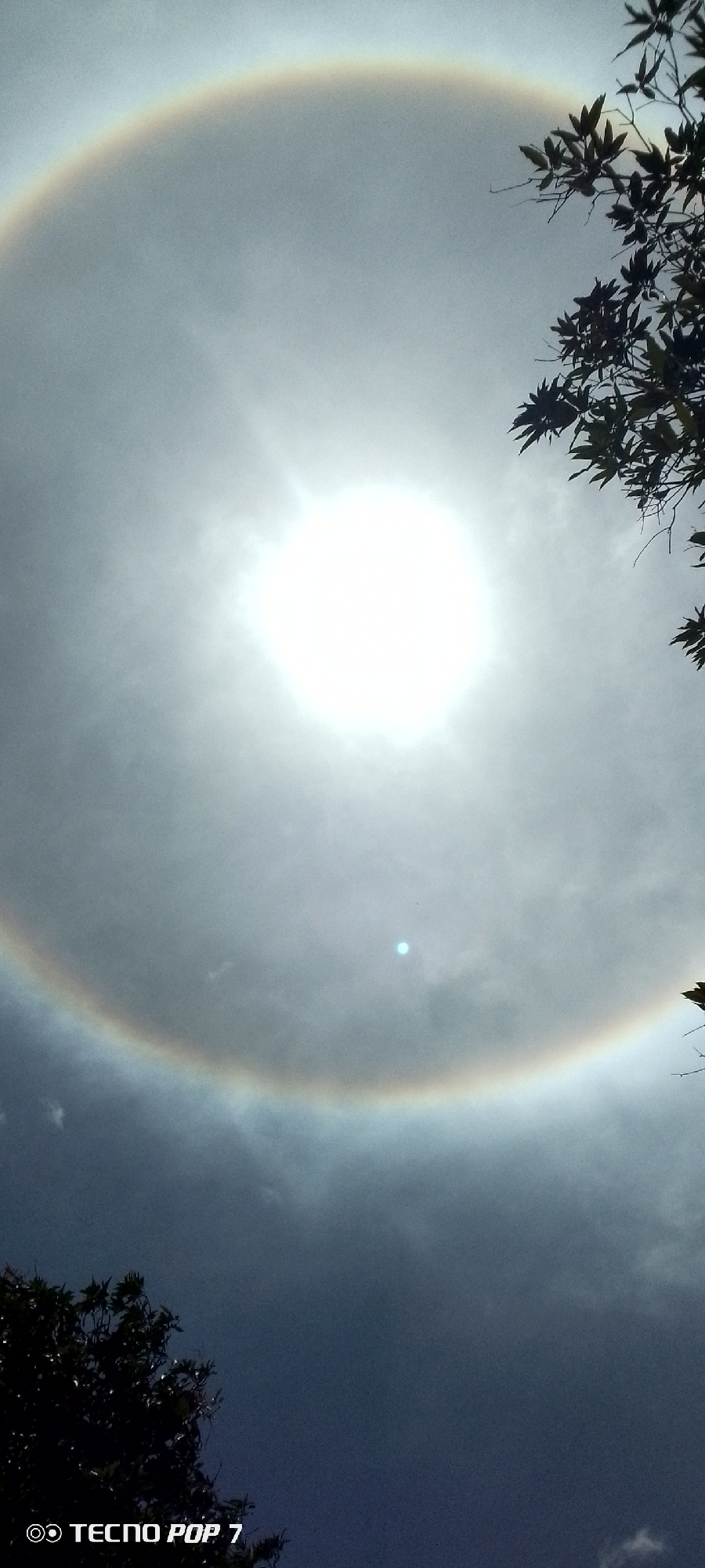 The image shows a solar halo, a ring of light appearing around the sun, indicating the presence of ice crystals in the upper atmosphere. The sun is centrally located in the image, appearing as a bright, circular light source. A colored ring surrounds it. Branches of trees are visible in the upper right and lower left corners of the image. The sky is partially cloudy, with darker clouds visible in the lower part of the image. The city name "Altagracia, Venezuela" is provided as the location. A "TECNO POP 7" watermark is at the bottom left. No people are visible in the image.
