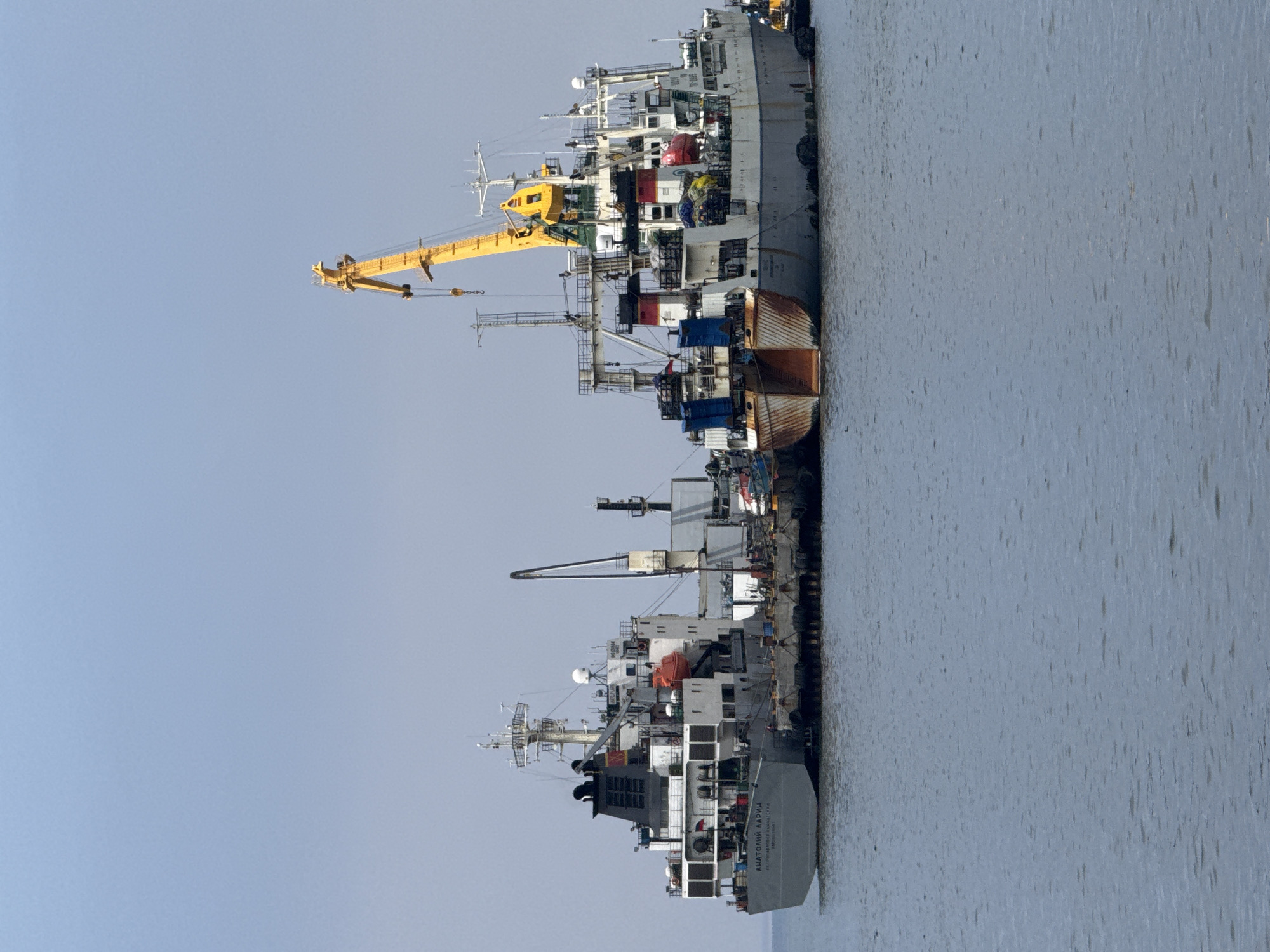 The image depicts a harbor scene in Petropavlovsk-Kamchatsky, Russia, under a clear daytime sky. Several large ships are docked side-by-side along a pier, their hulls facing the viewer. The calm water of the harbor occupies the right side of the frame, reflecting the soft light of the sky that dominates the left.
In the foreground, a large, grey vessel with various structures, antennas, and equipment on its decks is visible. Further back, another ship, possibly a cargo or fishing vessel, features a prominent yellow crane on its deck. This ship exhibits some rust on its lower hull, suggesting age or heavy use. Its deck is cluttered with various objects, including brightly colored containers or covers. Behind it, another grey vessel is docked, sharing a similar industrial appearance.
On the stern of the rearmost ship, clearly visible text in Cyrillic reads "АНАТОЛИЙ ЛАРИН" (Anatoliy Larin), identifying the vessel. Below its name, "ПЕТРОПАВЛОВСК-КАМЧАТСКИЙ" (Petropavlovsk-Kamchatsky) is inscribed, indicating its homeport and confirming the specified location. The ships appear stationary, likely engaged in loading/unloading operations, maintenance, or simply awaiting departure. The overall impression is one of a busy, functional port environment.