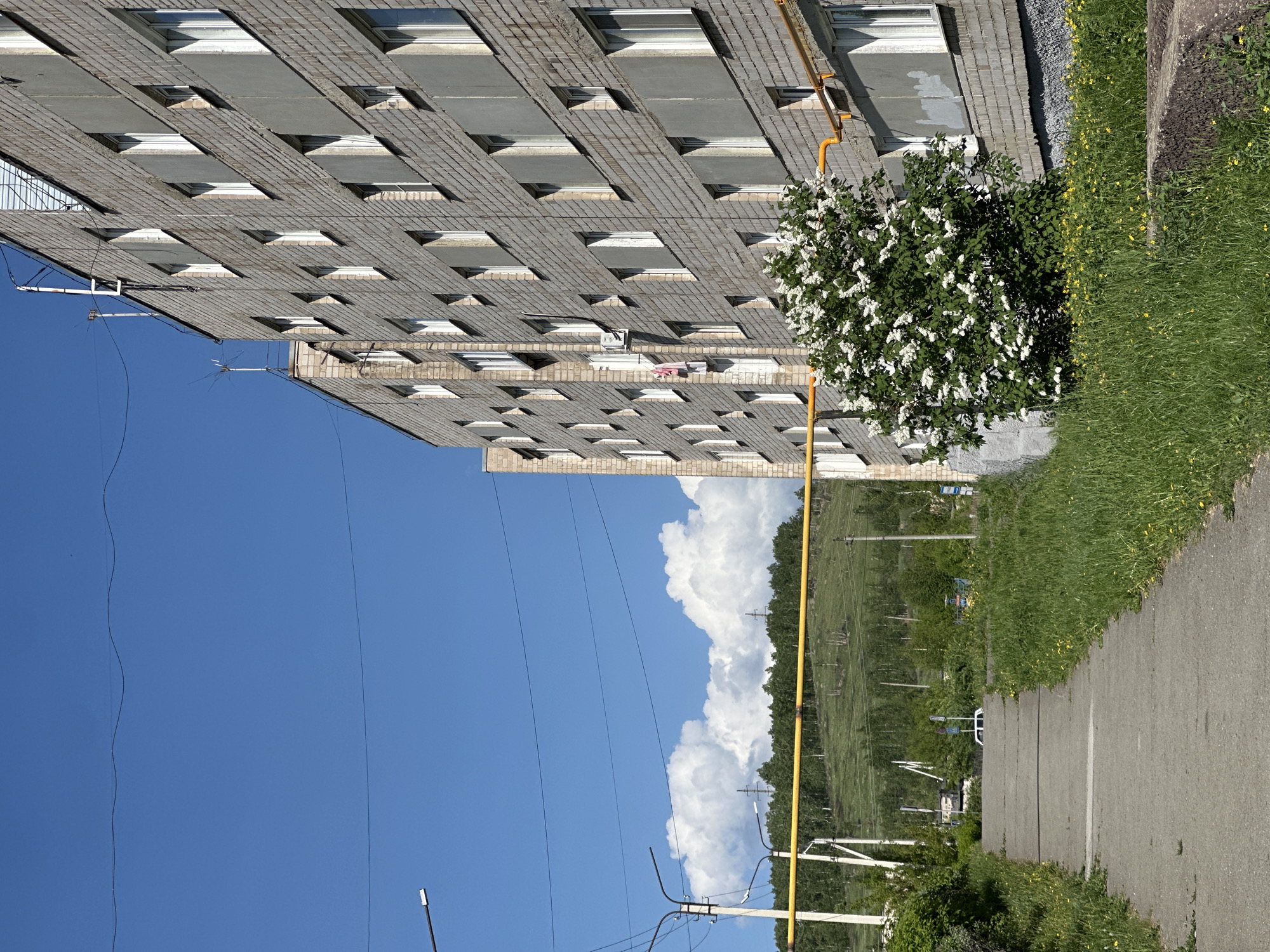 A daytime outdoor shot shows a gray brick building with rows of windows, a yellow gas pipe running vertically up the side, and a blooming white-flowered bush near the building's edge. Adjacent to the building, there is a green grassy area with yellow wildflowers, next to a paved walkway. In the background, a hillside covered with trees and a large cumulus cloud formation are visible. Power lines and poles are in the foreground against a clear blue sky.