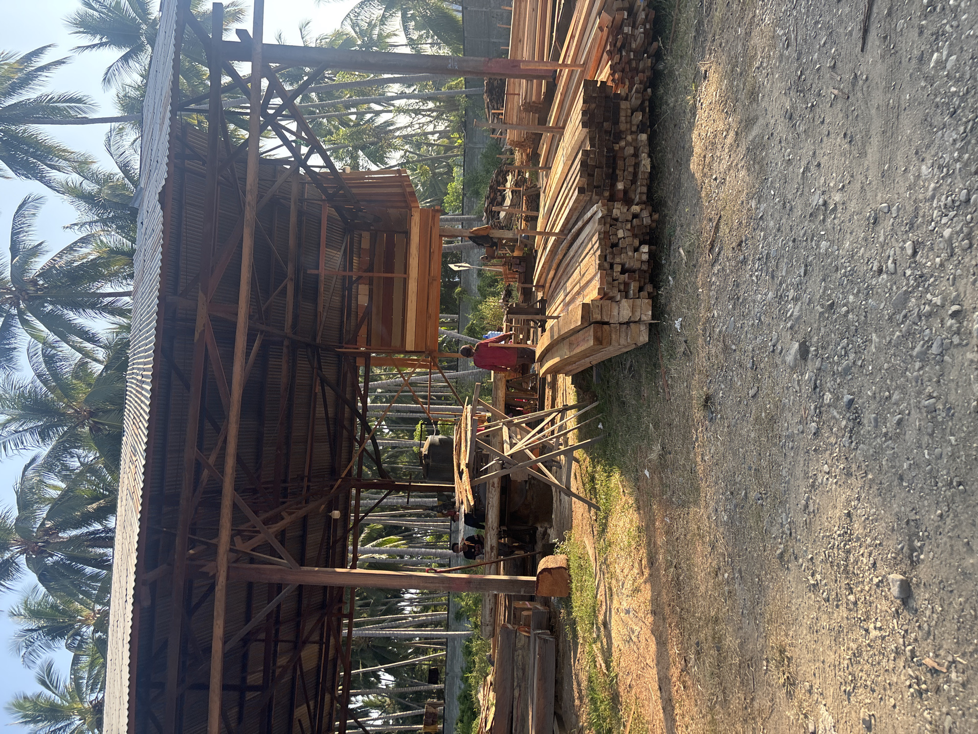 The image depicts a lumber yard or woodworking area in Bunto, Indonesia. A large, open-air structure with a corrugated metal roof, supported by wooden beams and posts, serves as the central workspace. Piles of sawn lumber are stacked neatly on the ground, both inside and outside the structure. In the foreground, a large quantity of wood is stacked in organized rows, some pieces appearing curved. In the middle ground, a few individuals are present. One person, wearing a red shirt, is standing near a table saw. Two other individuals, partially obscured, are seated. The background is dominated by a dense grove of coconut palm trees, characteristic of the tropical environment of Indonesia. The ground is a mix of dirt, gravel, and sparse vegetation, with strong sunlight casting long shadows, suggesting it is either early morning or late afternoon. The overall scene conveys a sense of active, outdoor manual labor in a rural or semi-rural setting.