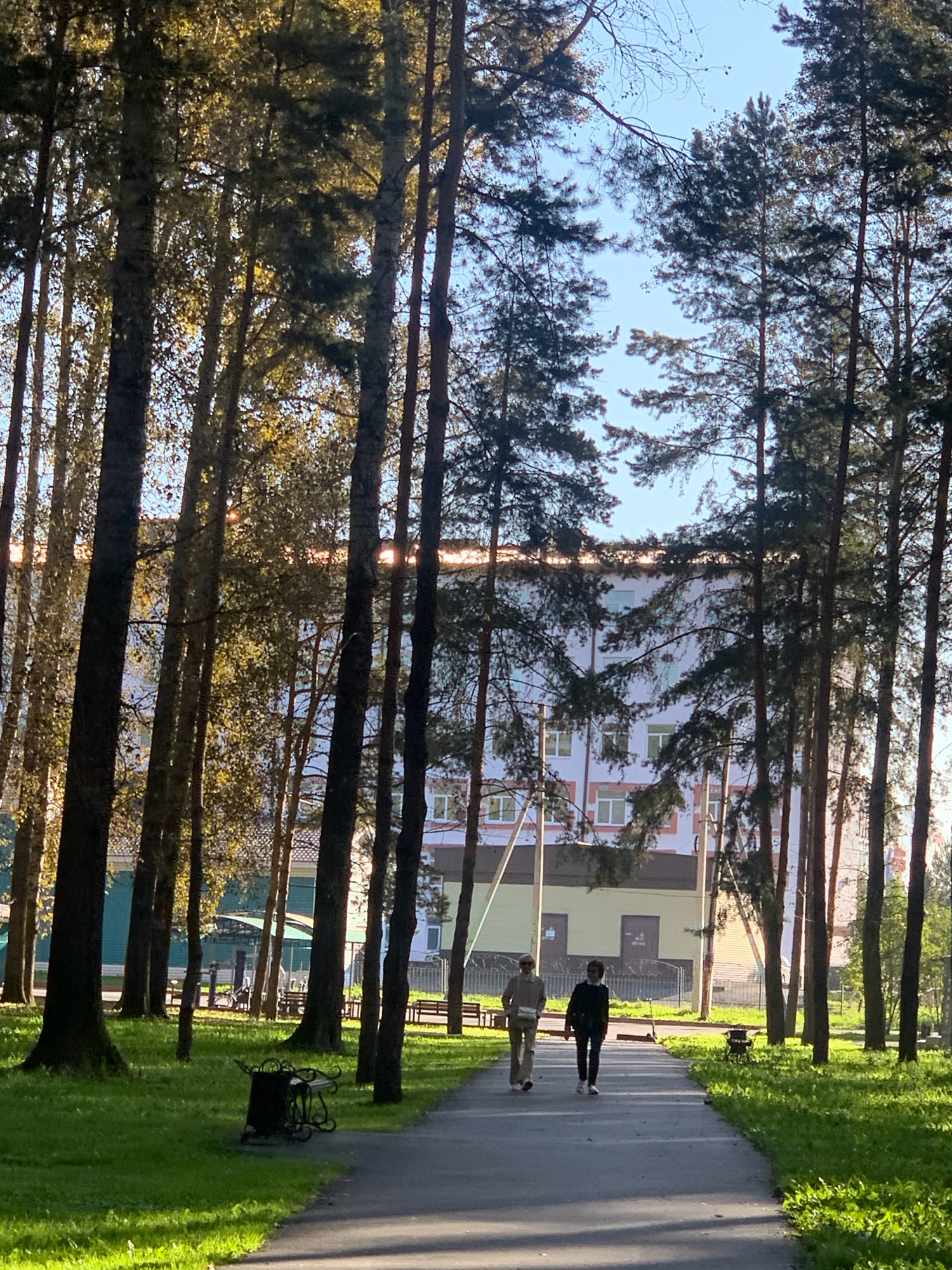 A paved walkway runs through a grassy park lined with tall pine trees. Two individuals, one wearing a light-colored jacket and pants and the other a dark jacket and pants, walk away from the camera down the path. Behind the trees, a multi-story building with white and pink siding is visible. Sunlight filters through the trees, casting shadows on the ground. A decorative black trash receptacle sits on the grass to the left of the path. The scene appears to be in Prokopyevsk, Russia.