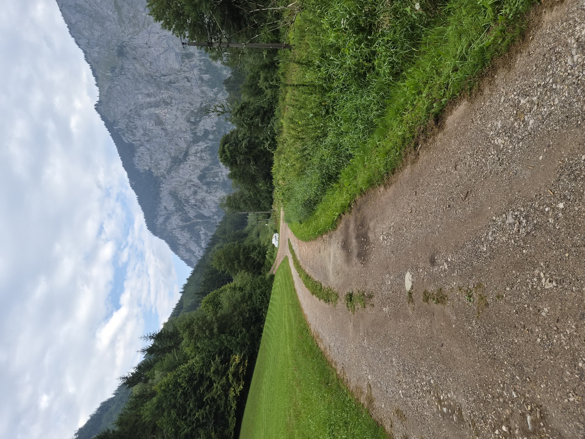 A winding dirt road curves through a grassy meadow towards a densely forested mountainside under a cloudy sky. The road is composed of brown dirt and gravel, with tire tracks visible. To the left of the road, a vibrant green meadow slopes upwards, showing subtle striations from a recent mowing. On the right side of the road, tall green grass and other vegetation grow abundantly. In the distance, a white object, possibly a vehicle or a small structure, is visible near the bend in the road. Towering over the scene are steep, rocky mountains with sparse vegetation clinging to their slopes. The sky is filled with a mixture of white and gray clouds, with patches of blue visible. The scene is reminiscent of a rural area in Eisenerz, Austria, given the characteristic landscape of the region.