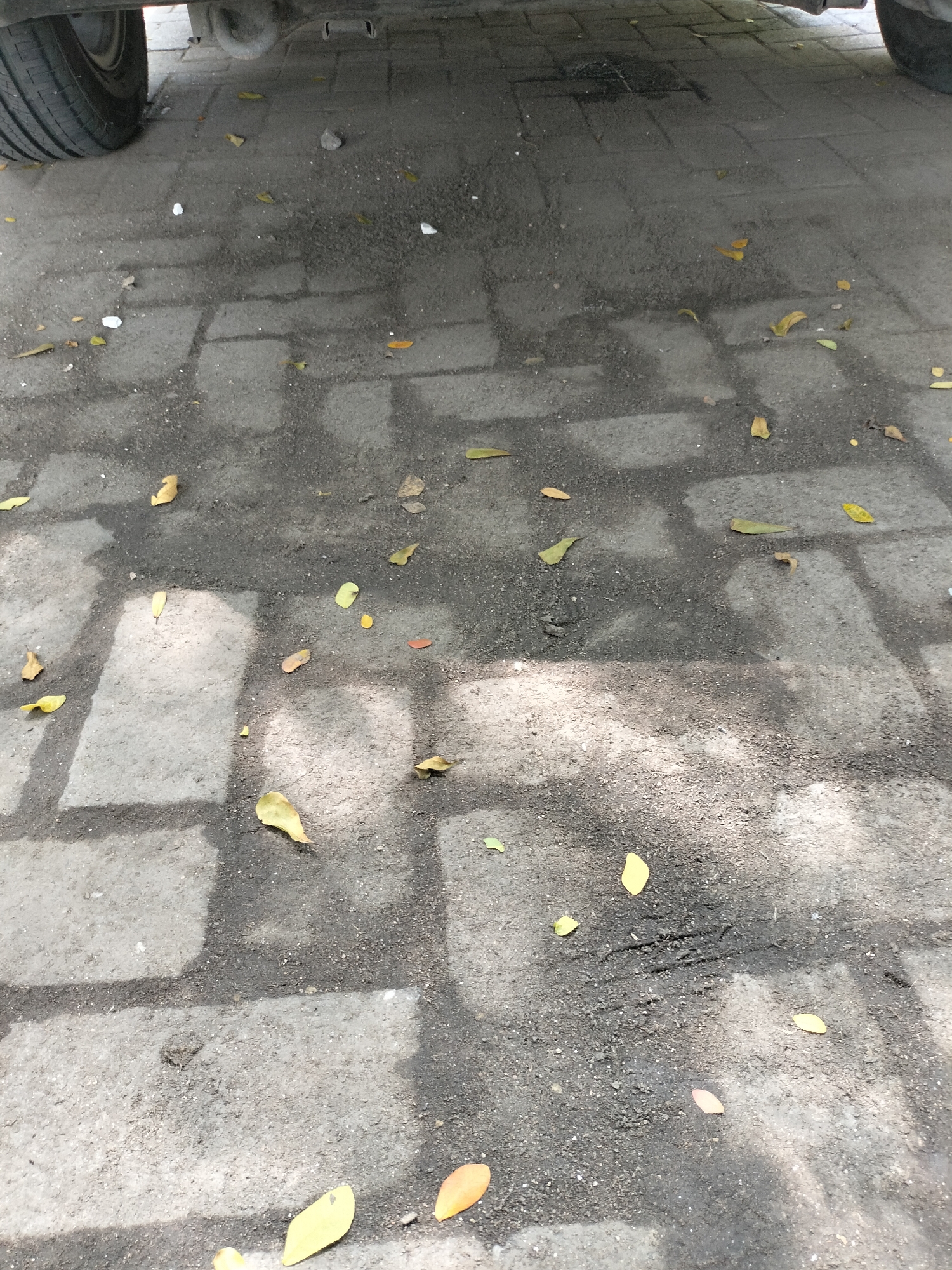 The image shows a close-up view of a paved surface, likely a driveway or sidewalk, littered with dry leaves. The paving stones are visible beneath a layer of dirt and debris. The lighting suggests it is daytime, with shadows of an unseen object, possibly a vehicle, cast across the ground. The scene is likely located in Seuneubokpeunteut, Indonesia, given the context provided. There are no people or animals visible in the image. The overall impression is one of an outdoor, urban or semi-urban environment.