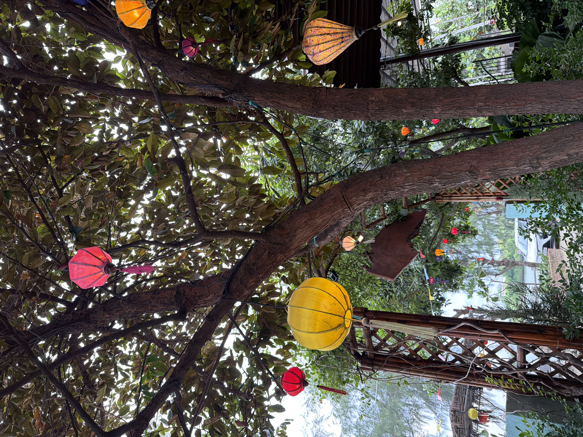 The image captures a lush tree adorned with numerous colorful lanterns. Among the branches, a large yellow lantern stands out, accompanied by several smaller red, orange, and pink lanterns. The scene appears to be outdoors, possibly in a garden or courtyard, with a bamboo trellis visible on the left and a white car parked in the background. The foliage suggests a tropical or subtropical climate. The overall impression is festive and vibrant, evoking the charm of Hoi An, Vietnam, a city renowned for its lantern-lit streets and cultural heritage.