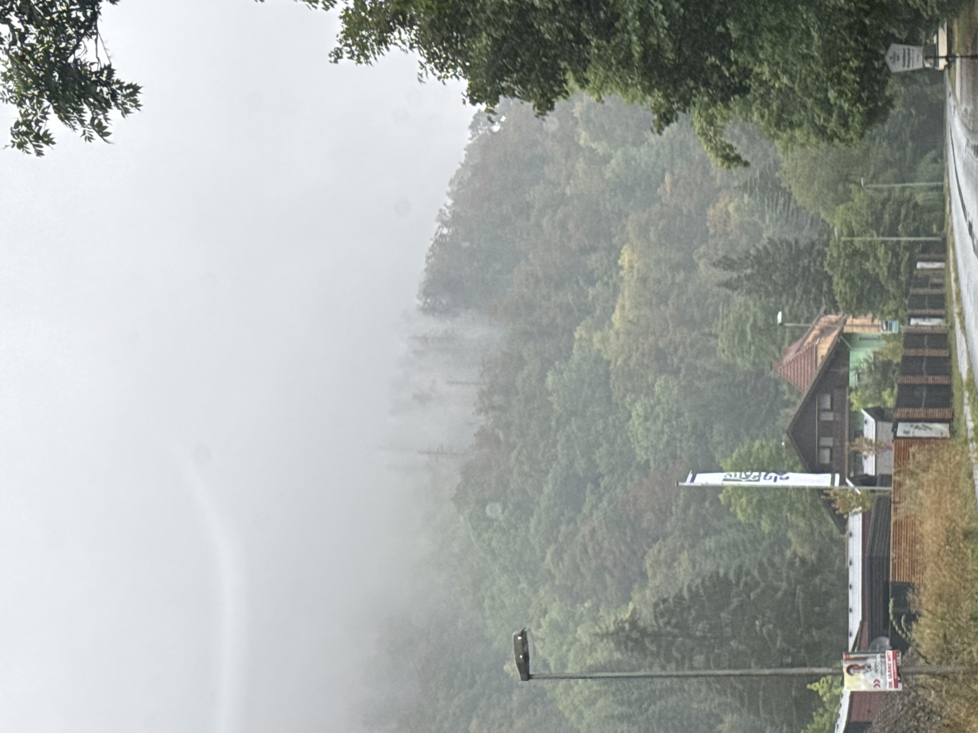 The image depicts a view of a street in Walkenried, Germany, on a foggy and overcast day. A winding road runs through the scene, lined with trees and buildings. In the foreground, a lamppost stands to the left, and to its right, a sign is visible with a picture of a person and text that appears to be a political campaign poster. Further down the road, several buildings are visible, including a house with a red-tiled roof and a white flagpole with a blue and white banner. The background is dominated by a densely wooded hill shrouded in fog, with trees of various shades of green and brown. The overall atmosphere is muted and somewhat melancholic due to the weather conditions.