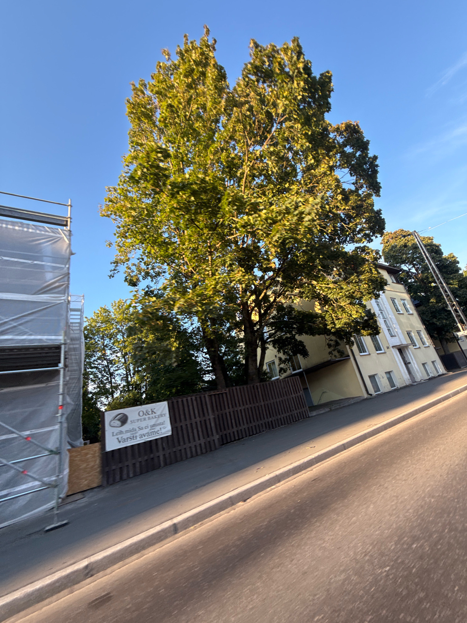 The image depicts a street scene in Tallinn, Estonia. The foreground shows a portion of an asphalt road with a concrete curb. To the left, there is scaffolding covered in white plastic sheeting, suggesting ongoing construction or renovation. Behind the scaffolding, a wooden fence runs along the sidewalk. A white banner is attached to the fence, featuring text that appears to be in Estonian, with "O&K SUPER BAKERY" prominently displayed, along with an image of a loaf of bread. Further back, a multi-story building with a yellow facade and white window frames is visible. Large trees with green foliage are scattered throughout the scene, casting shadows on the building and the ground. The sky is clear and blue, indicating a sunny day. The overall impression is of a residential or commercial area undergoing some form of development.