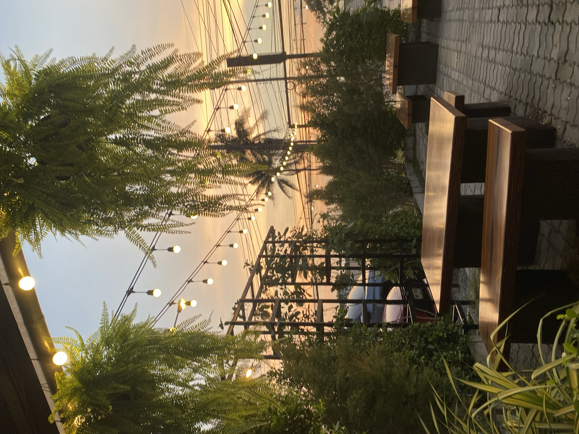 The image, taken in Choeng Thale, Thailand, depicts an outdoor seating area at dusk. Overhead string lights illuminate the scene, revealing lush tropical foliage including ferns and other greenery. A palm tree is visible in the background amidst electrical wires. The seating area features wooden benches and pavers. A metal trellis structure with climbing plants adds to the ambiance. In the background, a vehicle can be seen. The overall scene suggests a relaxed, outdoor dining or lounge setting.