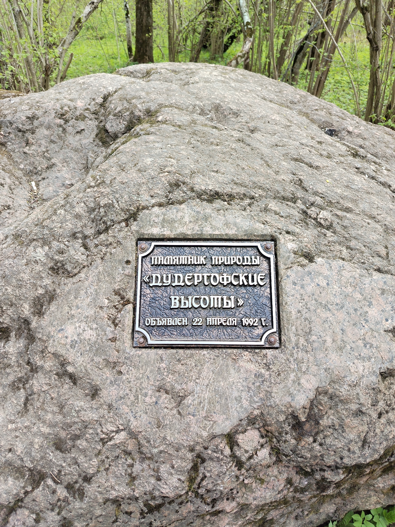 The image shows a large, grey, moss-covered rock with a plaque affixed to it. The plaque is in Russian and appears to commemorate a natural site called "Duderhof Heights", which was designated on April 22, 1992. The rock is located in a forested area, possibly in or near Krasnoye Selo, Russia, as indicated by the nature site's name. There are trees and greenery visible in the background. There are no people visible in the image.