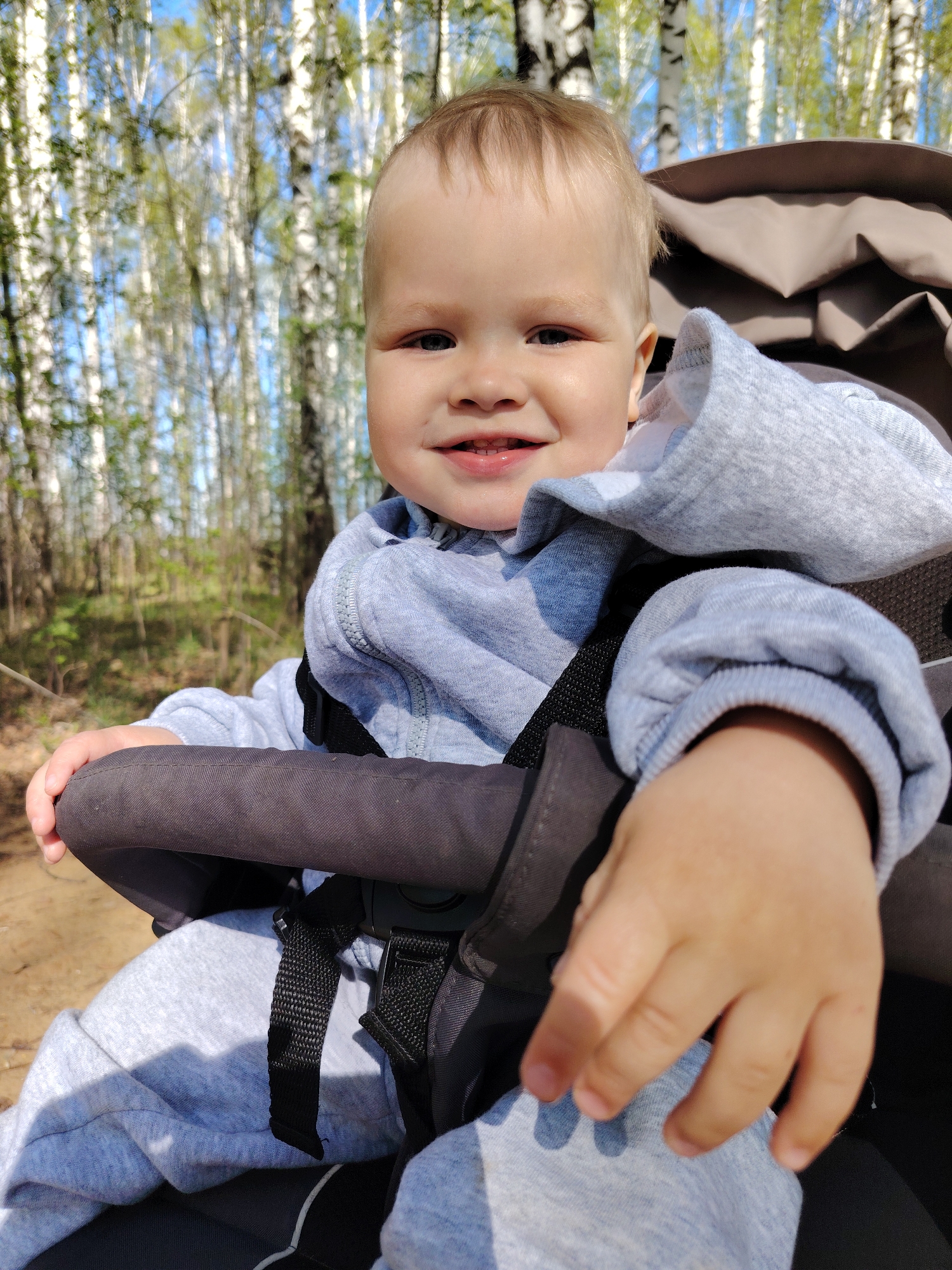 A baby with blond hair is sitting in a stroller on a sunny day in a wooded area near the city of Chaikovsky, Russia. The baby is wearing a light blue-gray sweat suit and is secured in the stroller with a black safety harness. The stroller has a brown fabric canopy and a black handlebar. The background shows birch trees with young leaves.