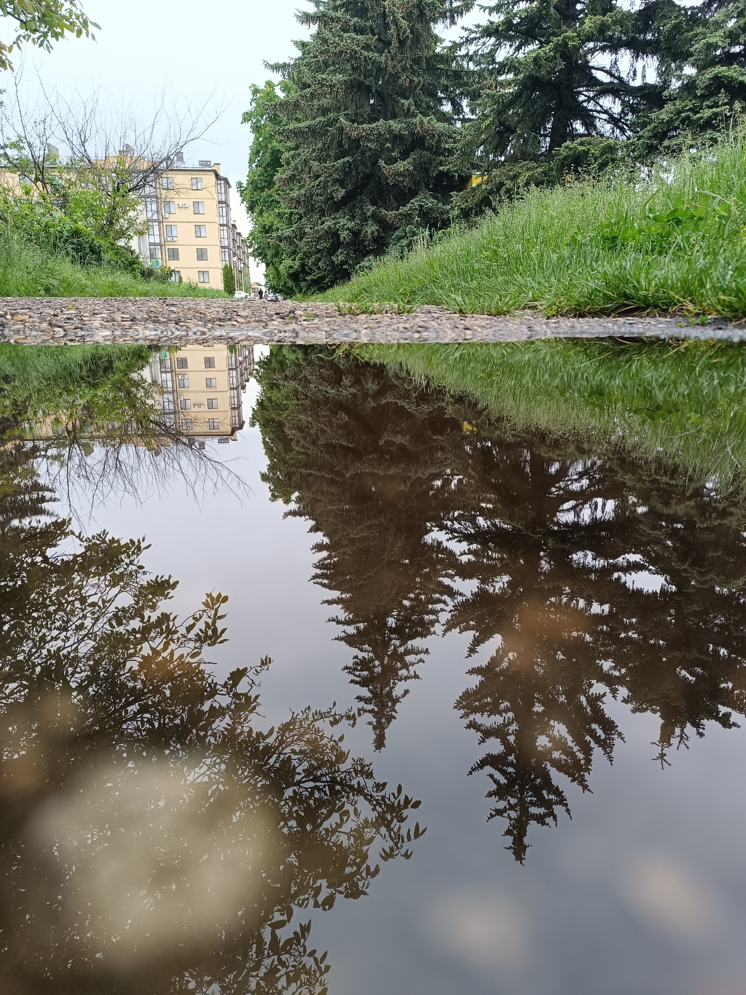 The image shows a low-angle view of a puddle reflecting a scene in Lermontov, Russia. Above the puddle's surface is a gravelly path leading toward a building with multiple stories and windows. To the right of the path is a grassy area with evergreen trees. The puddle reflects the building, the trees, and the sky, creating an inverted image of the surroundings. The reflection also captures the outlines of trees, with their branches and leaves, adding complexity to the composition.