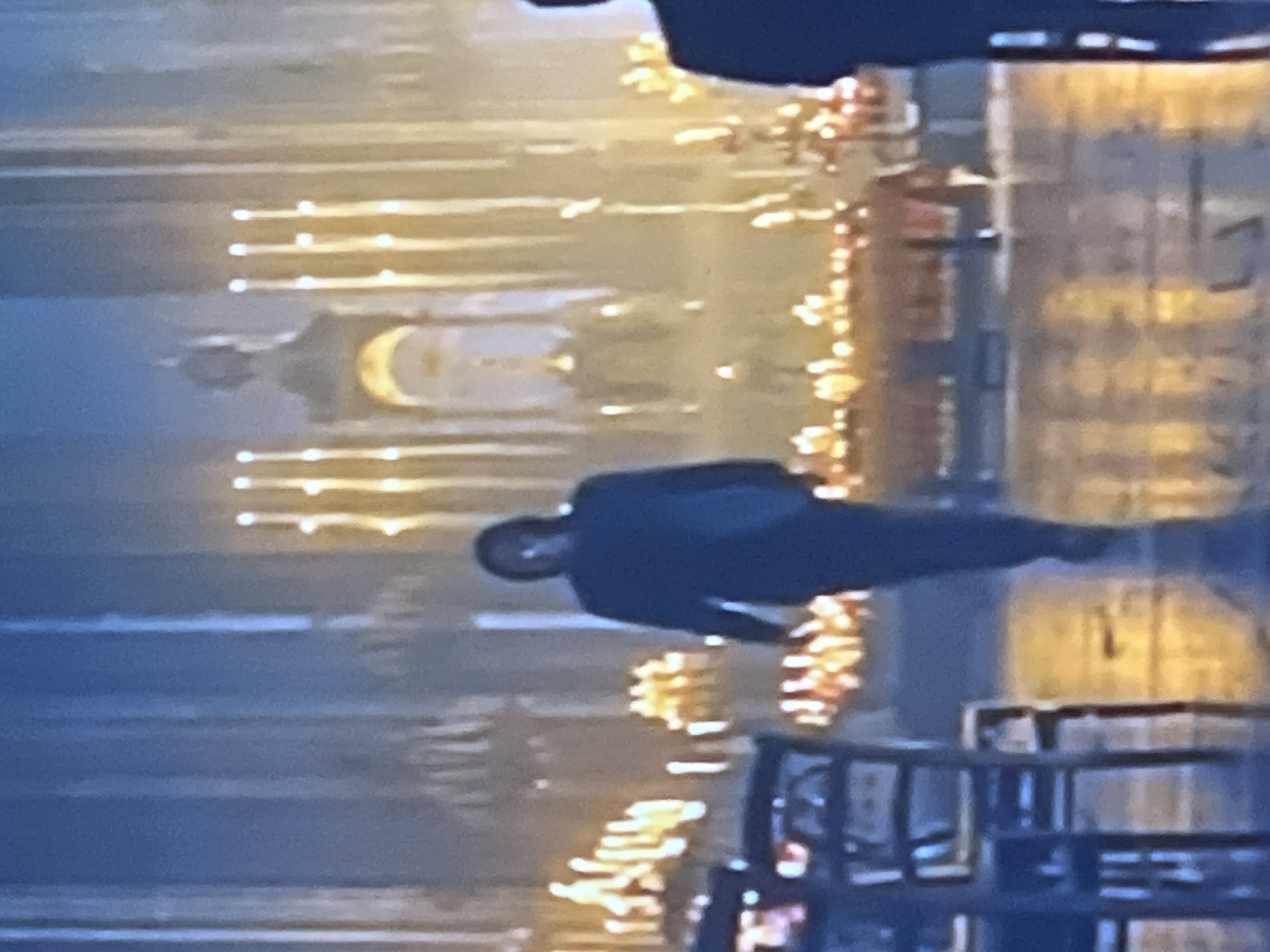 The image depicts the interior of a large, dimly lit building, possibly a cathedral or church, with numerous candles creating a warm, yellow glow. In the foreground, a person is walking away from the camera, facing the altar which is visible in the background. The person is wearing dark clothing and has long, dark hair. To the left of the image, a dark wooden chair or pew is partially visible. The floor appears to be reflective, showing the reflections of the lights. The architecture of the building suggests a grand and old structure with tall columns and ornate decorations. The lighting conditions suggest it might be evening or the interior is intentionally kept dimly lit. There is no specific information in the image to connect it to the city of Bobrovka, Russia.