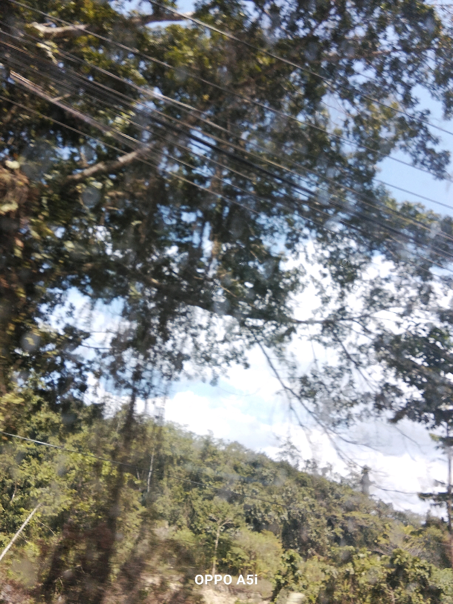 The image captures a view of a hillside covered in dense green foliage and trees, with the sky visible in the background. Numerous thin, dark wires are strung horizontally across the upper portion of the image, partially obscuring the view of the trees and sky. The lower right corner of the image contains a watermark that reads "OPPO A5i". The scene appears to be taken from a moving vehicle or through a window, as indicated by the slight blur and reflections. The location is identified as Galu, Indonesia.