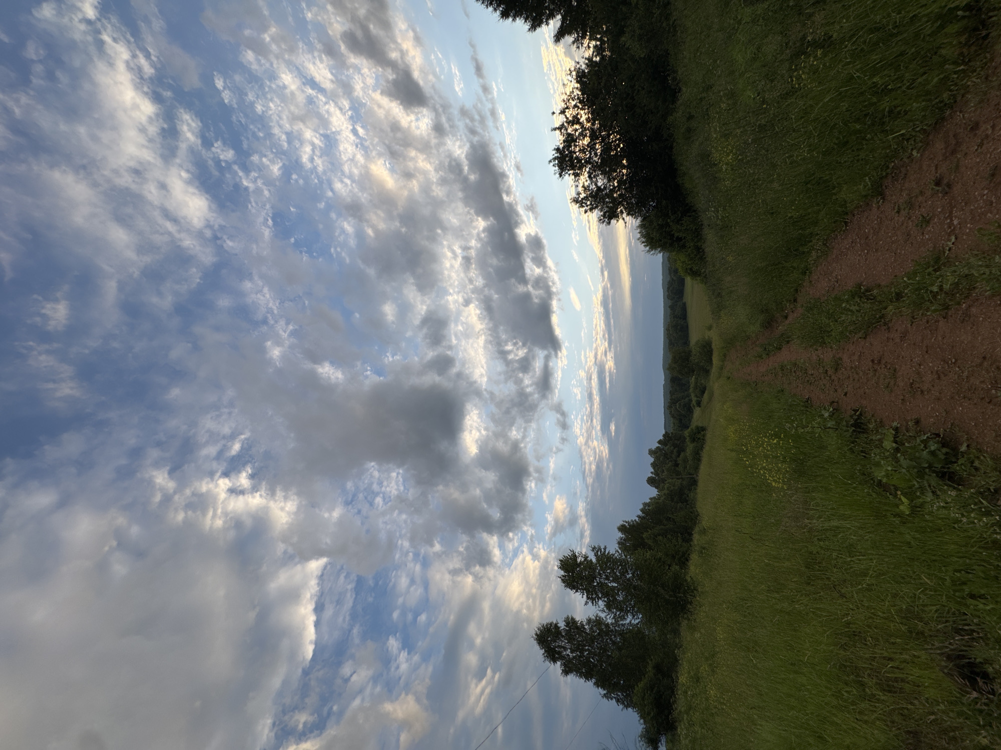 The image depicts a rural landscape at dusk, likely in Nizhnyaya Gar', Russia, characterized by a dirt road winding through a field of tall green grass. The sky is dramatic, filled with a mix of white and gray clouds against a soft blue backdrop, suggesting the last moments of daylight. Trees border the field, some appearing as dark silhouettes against the lighter sky, and a distant treeline is visible on the horizon. The overall impression is one of natural serenity and the transition from day to night. There are no people or animals present in the scene.