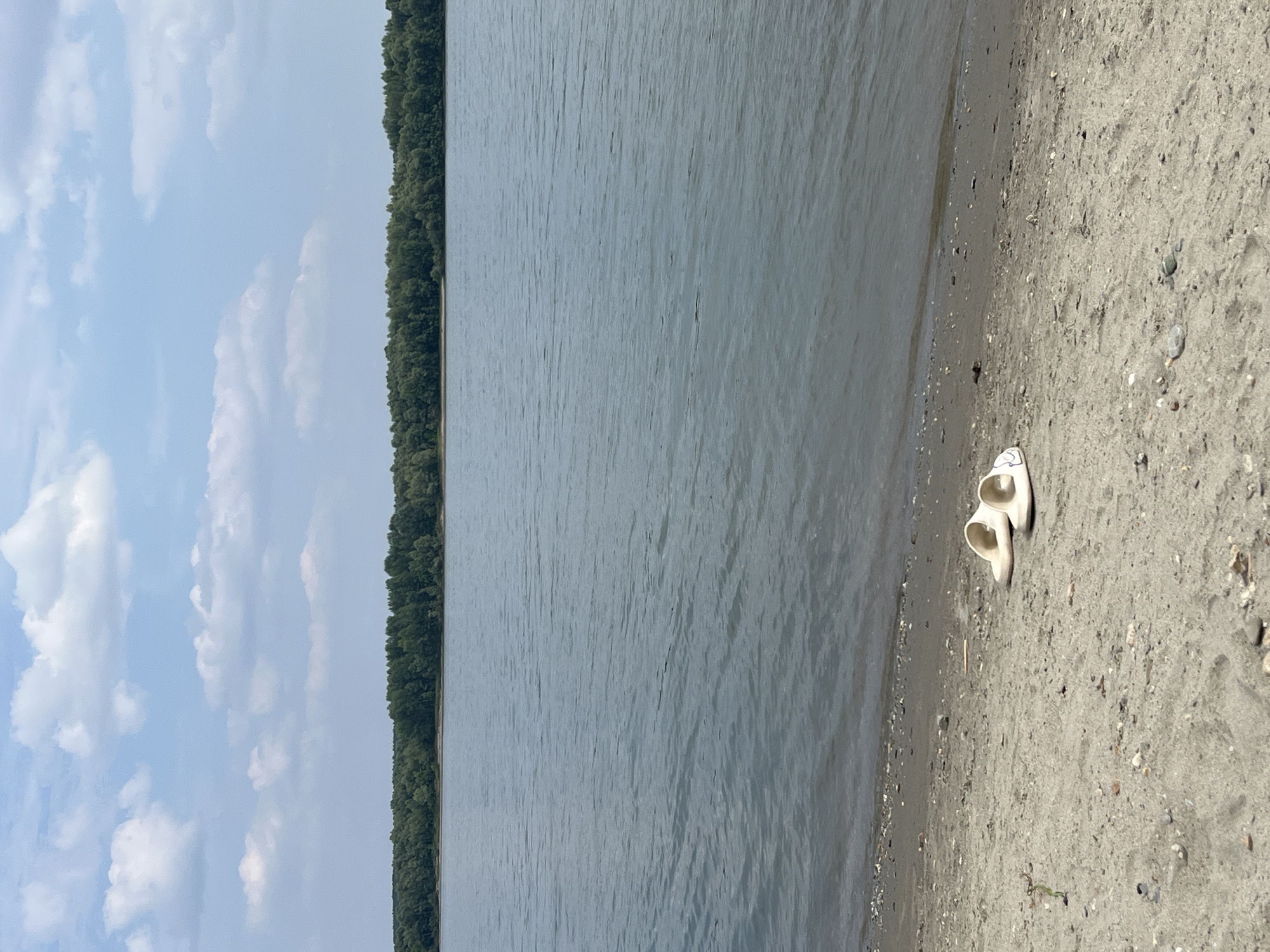 The image depicts a serene natural scene with a pair of white slip-on sandals resting on a sandy shore beside a body of water. The shoreline is composed of sand mixed with small pebbles and shells. The water is calm with gentle ripples, reflecting the sky above. In the background, a dense line of green trees forms a natural border along the opposite bank of the water. The sky is a bright blue, dotted with fluffy white clouds. The location appears to be the shore of the Desna River near the village of Mochishche, Russia.