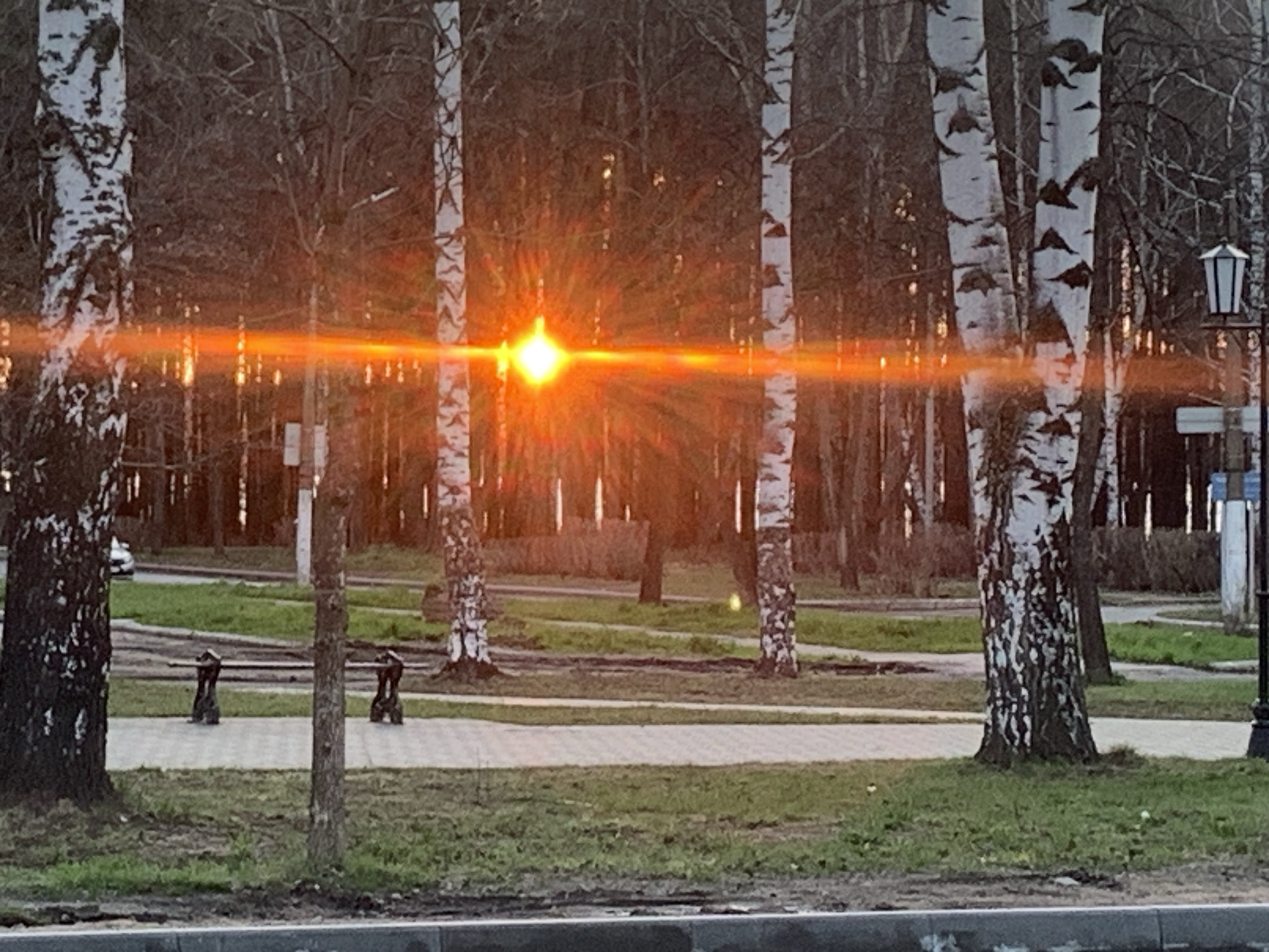 The image captures an outdoor scene, likely a park or a green public space, in Chaikovsky, Russia. The central feature is a brilliant, low-angle light source, presumably the sun, which casts a prominent horizontal orange lens flare across the entire frame. The strong warm glow suggests either sunrise or sunset.
Several tall birch trees with their characteristic white and dark bark are scattered throughout the scene, some with bare branches, hinting at late autumn or early spring. A light-colored paved pathway meanders through patches of green grass. On this path, in the mid-ground, two dark, distinctive objects, possibly abstract sculptures or stylized boot-shaped bollards, are fixed to the ground.
To the far right, a dark lamppost with a traditional lantern top stands against a backdrop of more bare trees. The background also reveals denser foliage and what appears to be a road or street with a faint glimpse of a light-colored vehicle. No human or animal activity is visible, and the weather appears clear where the sun is breaking through. No discernible text is present in the image.