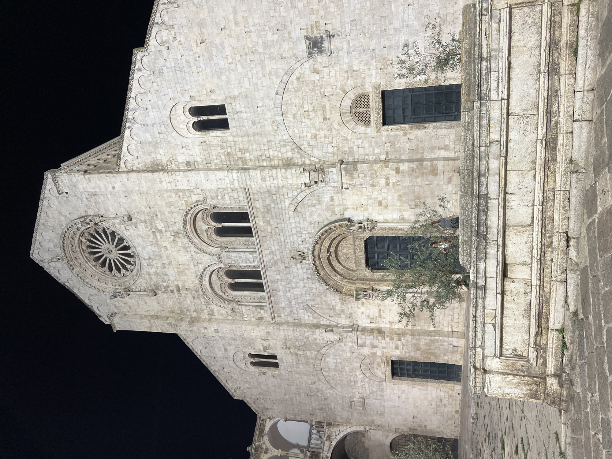 The image shows the exterior of the Basilica Cattedrale di Maria Santissima Immacolata in Bitonto, Italy, at night. The imposing facade, constructed from light-colored stone, is illuminated by artificial light. The architecture features a large rose window at the top, multiple arched windows, and intricately carved doorways. Two figures are visible in front of the central doorway, appearing to stand near a small olive tree. Another small olive tree is situated to the right of the central doorway, and a similar tree is visible to the left. In the foreground, a stone structure with multiple tiers and weathered surfaces is prominent, with cobblestone paving and some grass visible around it. The sky above is dark, indicating nighttime.