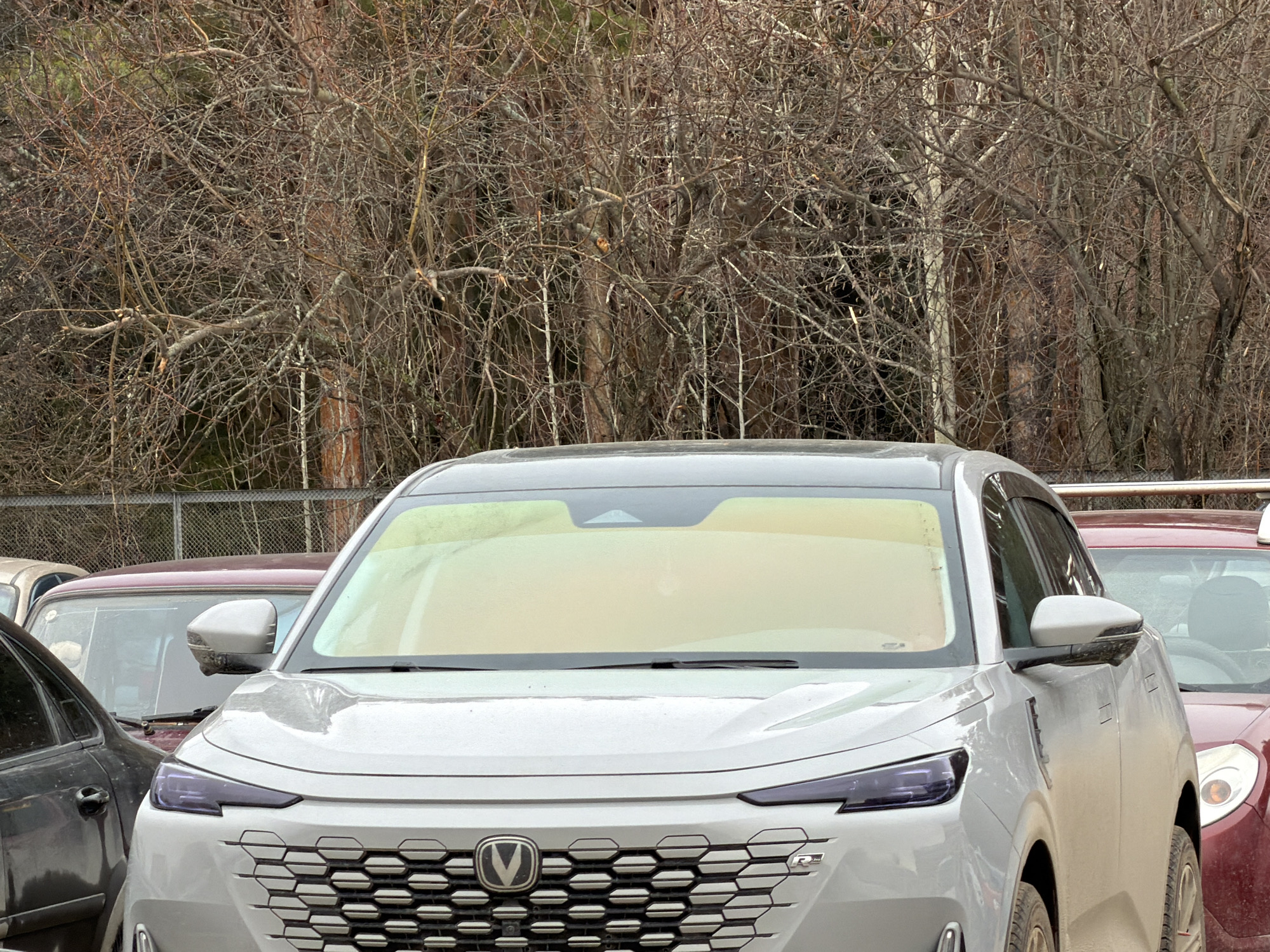 The image depicts the front of a silver Changan Unik SUV parked in a lot in the city of Chaikovsky, Russia. A black sedan is parked on the left. A red car can be seen to the right of the SUV. Behind the cars is a chain link fence, and beyond that, a dense thicket of bare trees. The windshield of the Changan is opaque. The weather appears overcast.
