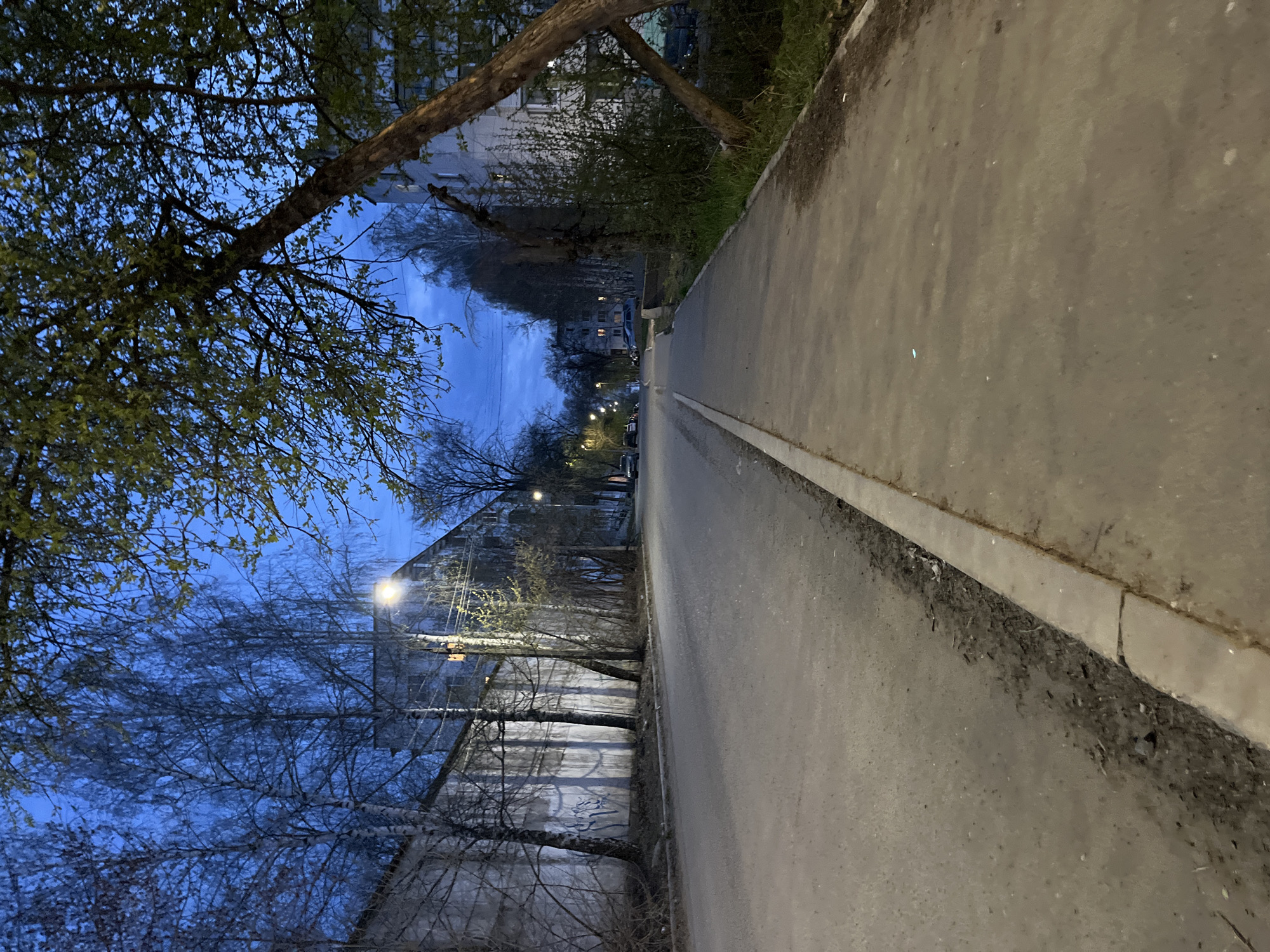 The image depicts a street in Chaikovsky, Russia, at dusk or dawn. The scene is dominated by a paved road, and a concrete sidewalk runs along the right edge of the image. The left side of the street is lined with trees, some with foliage. In the distance, buildings are visible. Streetlights illuminate the area, casting a glow on the road. The overall mood is calm and quiet.
