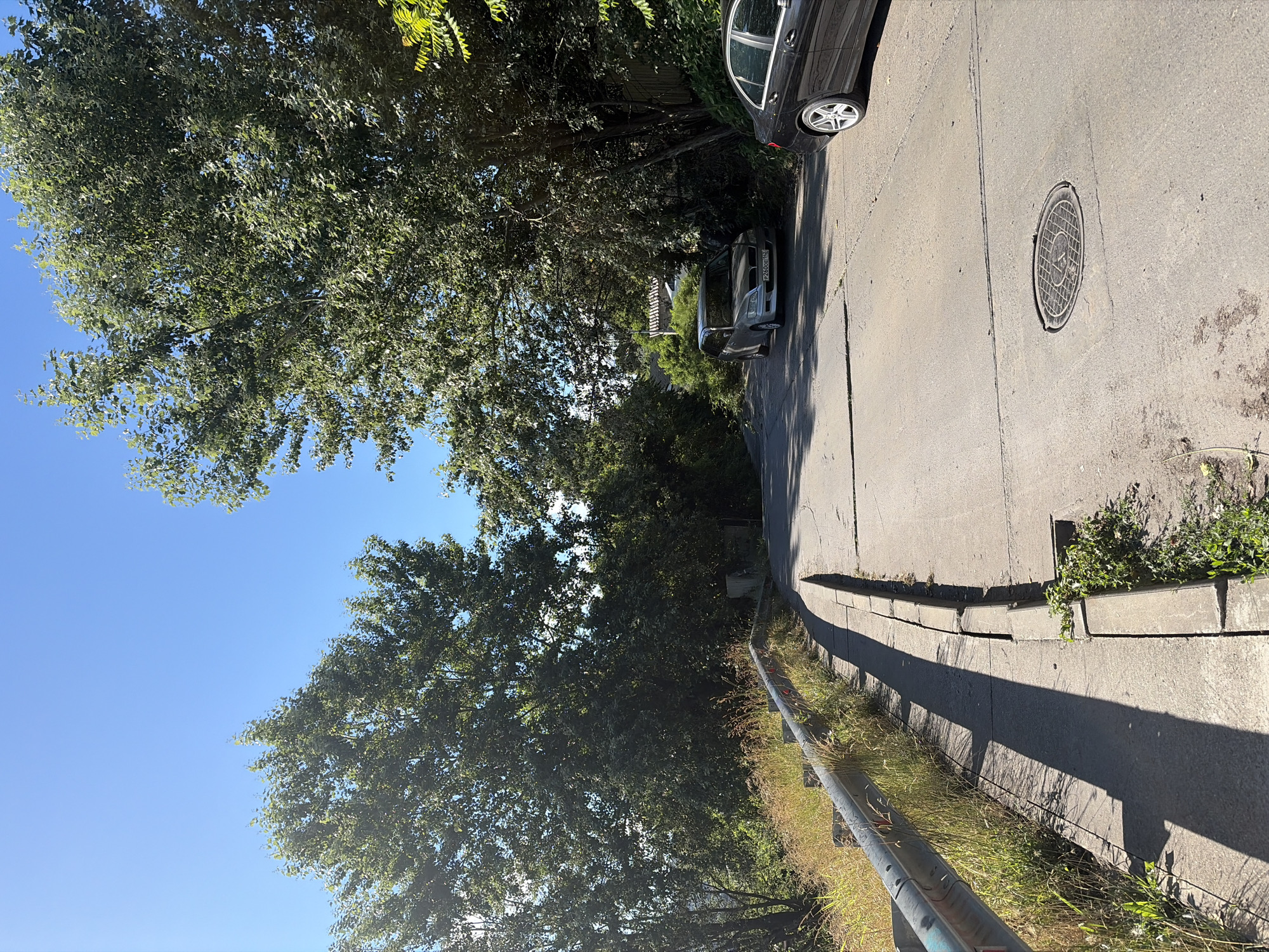 The image depicts a sun-drenched, upward-sloping asphalt road in Sochi, Russia, bordered by a metal guardrail and overgrown grass on the left, and dense foliage on the right. A silver station wagon is parked on the right side of the road, facing uphill. A black sedan is parked further up the road, also on the right. The road surface shows signs of wear and tear, with visible cracks and a manhole cover in the foreground. Tall, mature trees with lush green leaves overhang the road, creating patches of shade. The sky is a clear, vibrant blue.