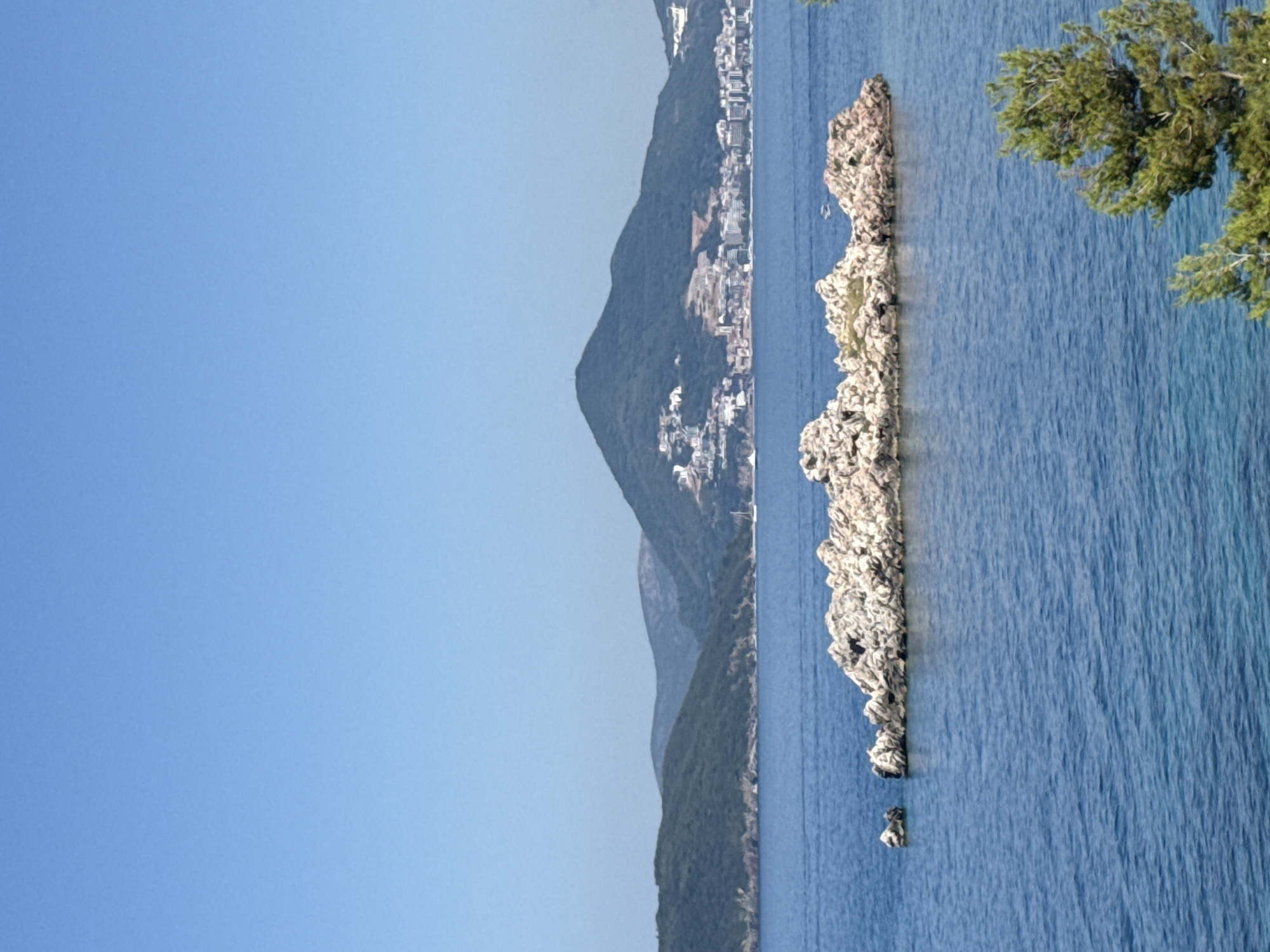 A wide shot shows a bright, clear blue sky over the Adriatic Sea. In the foreground, a cluster of light-colored rocks breaks the surface of the deep blue water. Further out, a larger rocky island with patches of green growth is visible. In the middle ground, a coastal city with white buildings is nestled at the base of a large, green, tree-covered mountain that dominates the background. The city appears to be Sveti Stefan, Montenegro. A few small boats are scattered on the water. In the far right of the image, the top of a green coniferous tree is visible.