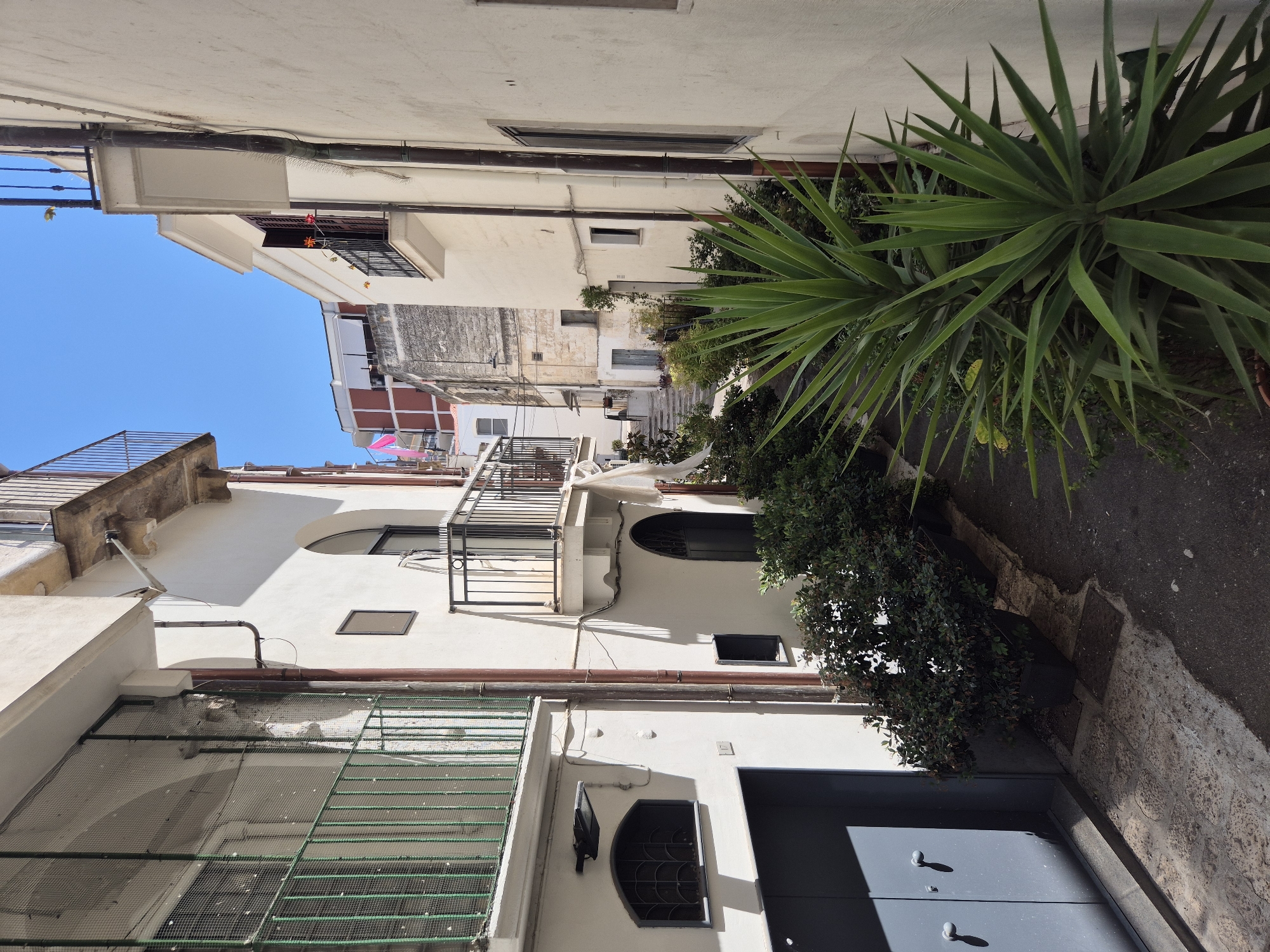 The image depicts a narrow, sun-drenched alleyway in Laterza, Italy, characterized by tall, whitewashed buildings flanking both sides. The architecture is typical of the region, with balconies, arched doorways, and textured stone elements visible. Lush green plants, including a prominent spiky yucca plant, are potted and line the alley, adding a touch of nature to the urban setting. Sunlight casts sharp shadows, highlighting the textures of the walls and cobblestone path. The sky above is a clear, bright blue, suggesting a warm, sunny day. The scene is devoid of people, creating a quiet and serene atmosphere.