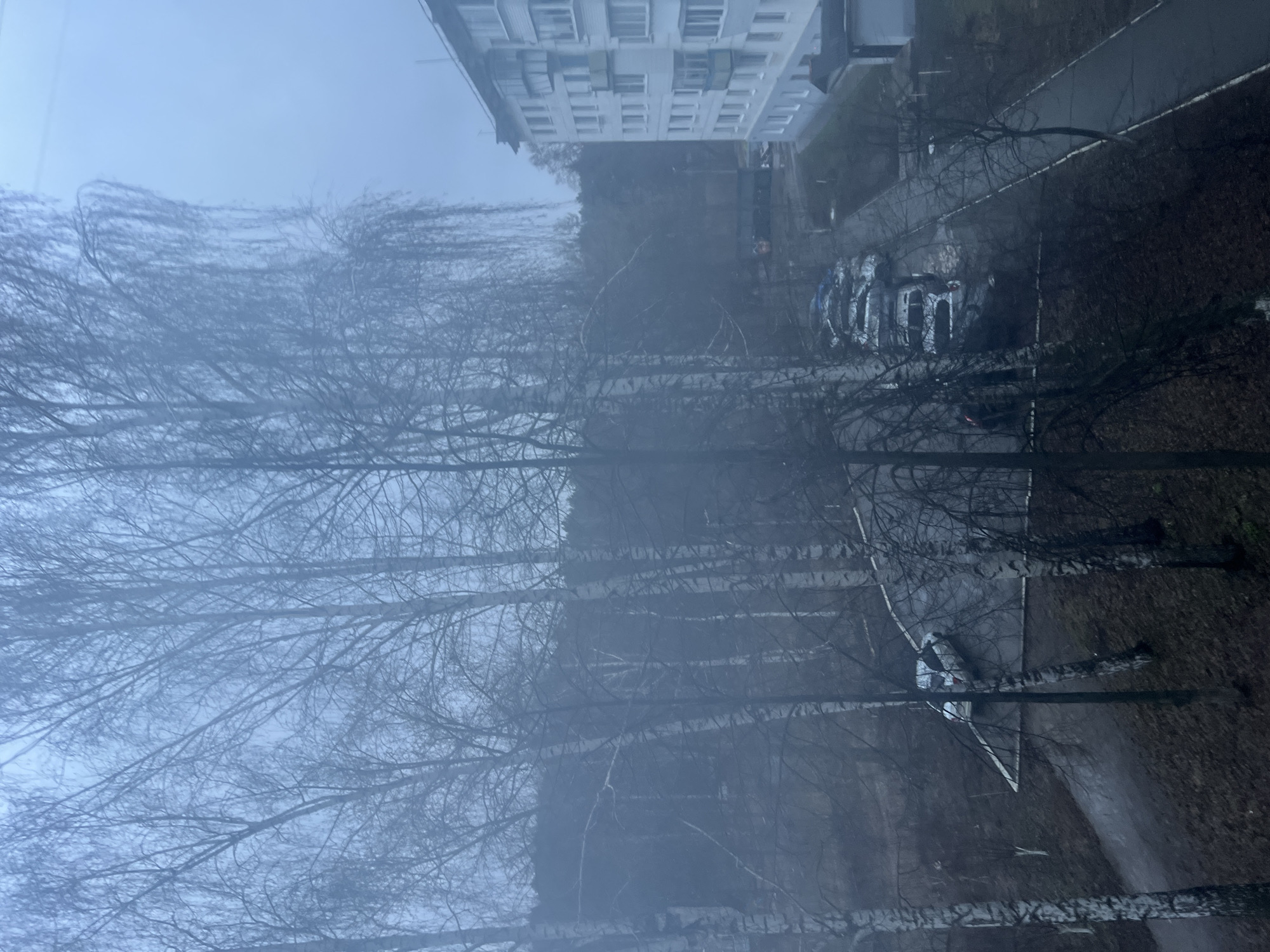 The image, likely taken from an elevated position, overlooks a street in Chaikovsky, Russia. It is a foggy day, with bare trees in the foreground. A multi-story building is visible in the background. Several cars are parked along the street. A pathway is partially visible.