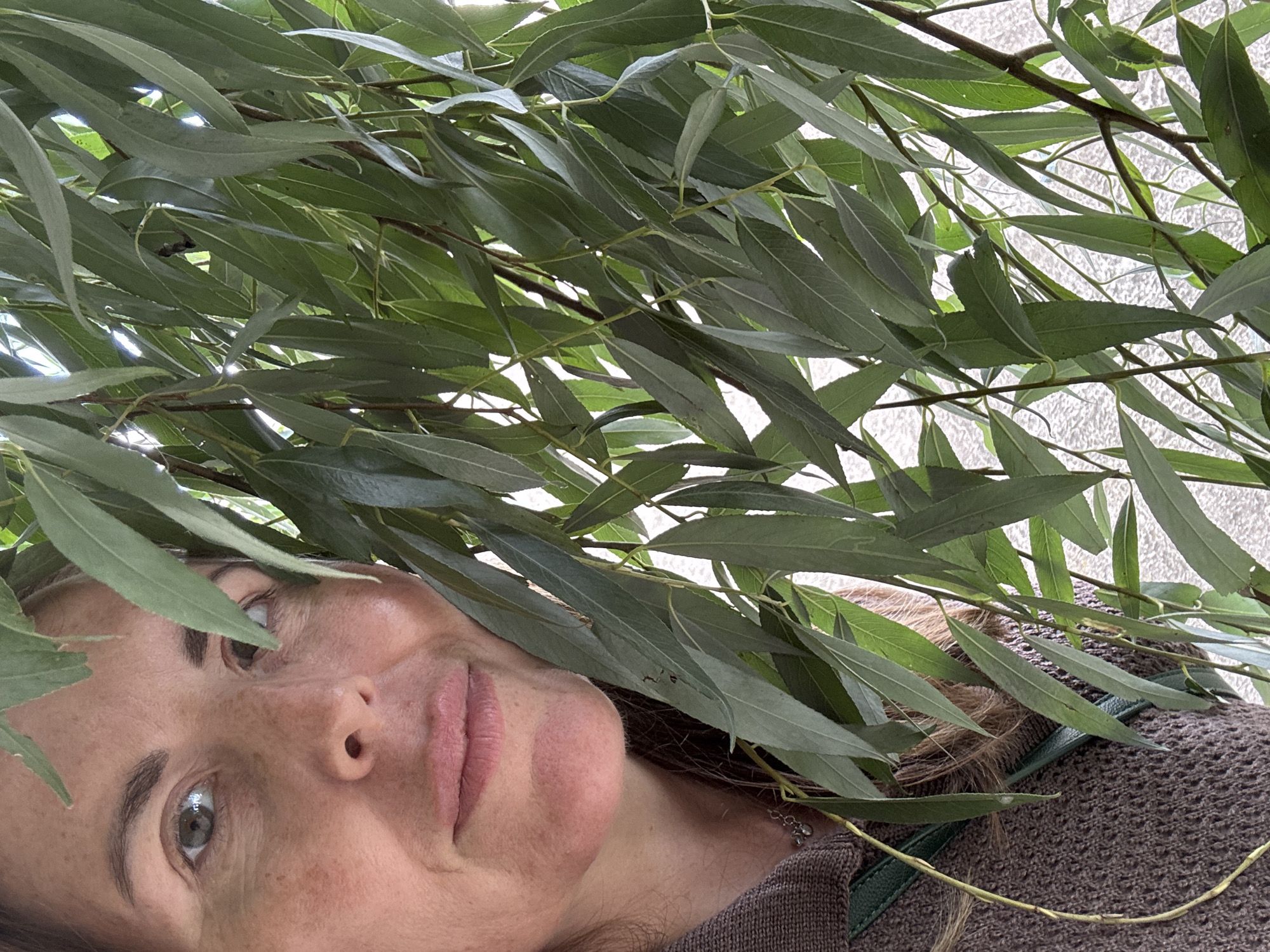 A woman with light brown hair and fair skin is partially obscured by hanging green willow branches. Her left eye, eyebrows, nose, and mouth are visible. She is wearing a brown knitted sweater with a green strap visible across her chest. The background appears to be a textured off-white wall. The scene is set outdoors, likely in a park or garden in Ufa, Russia, given the presence of willow trees.