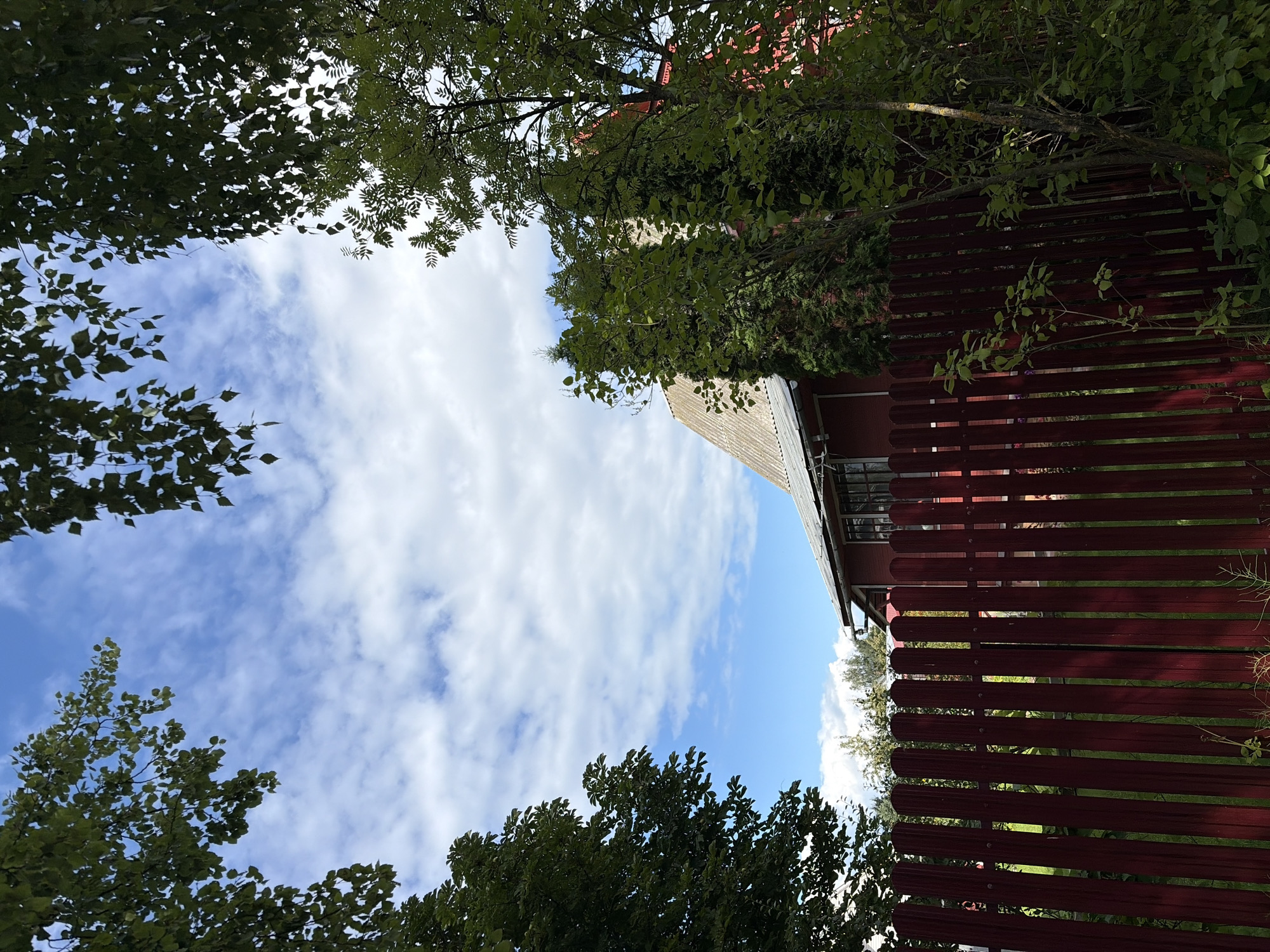 In the city of Neryudnik SNT, Russia, a red wooden fence stands prominently in the foreground, its vertical slats casting shadows on the green grass and vegetation behind it. Beyond the fence, a red house with a grey, corrugated roof is partially visible, its windows reflecting the bright blue sky dotted with fluffy white clouds. Lush green trees frame the scene, their branches reaching into the sky and creating a natural canopy. The overall impression is one of a rural or suburban setting bathed in natural light.